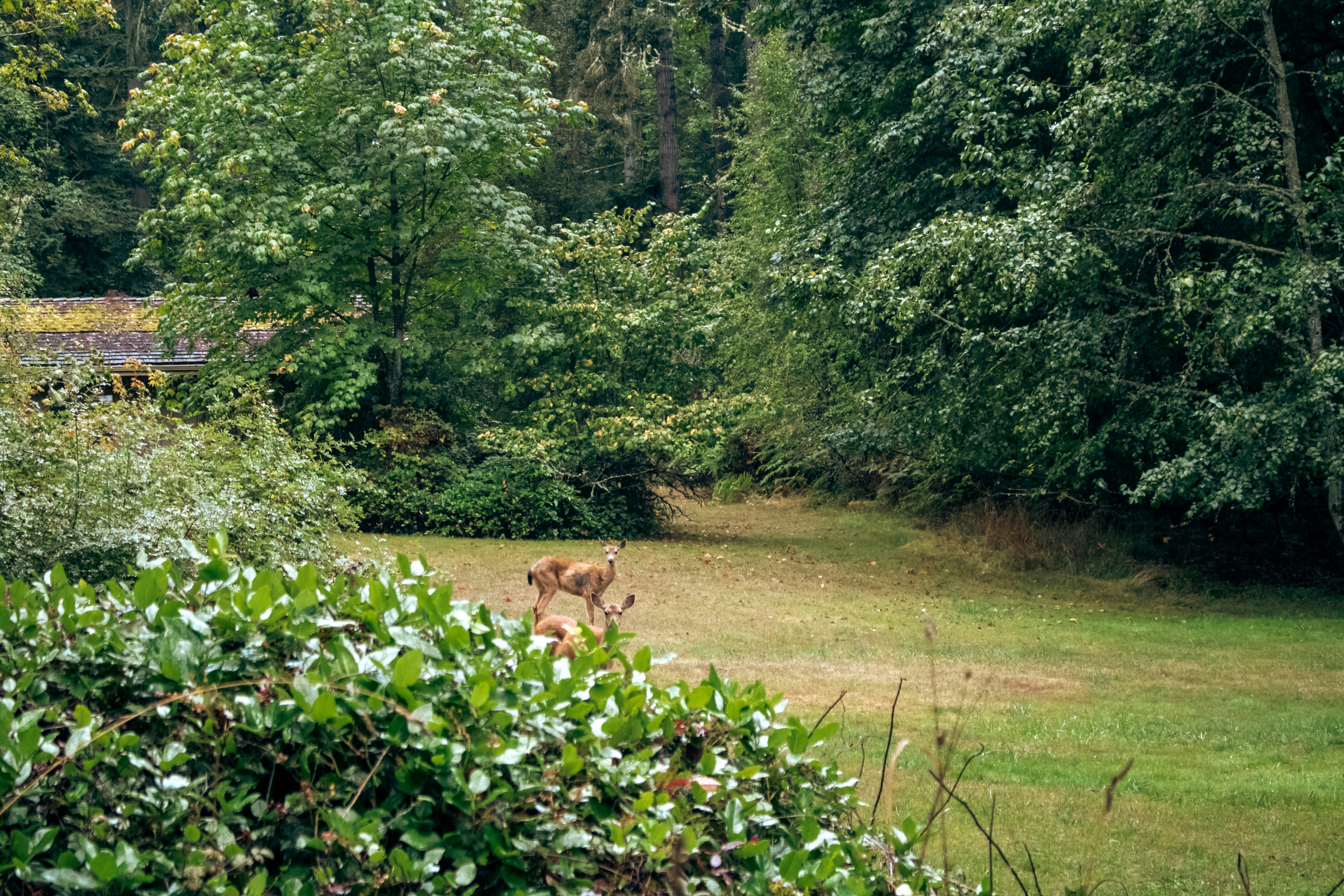 Photo by zoshuacolah