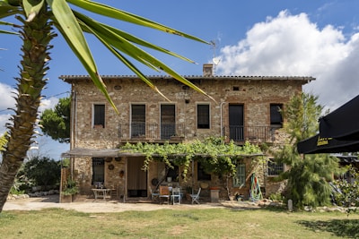 A house with a palm tree in front of it