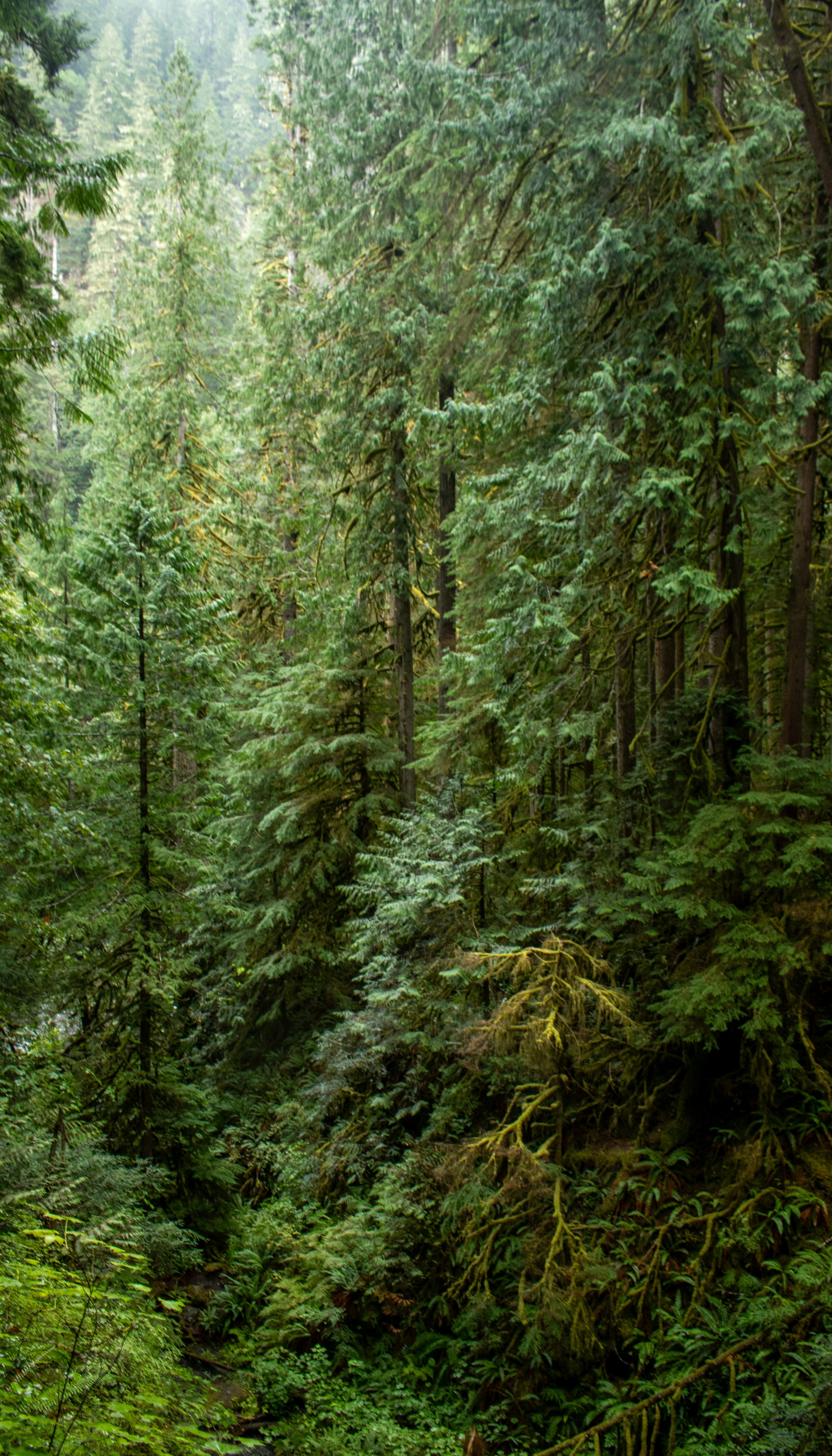 Photo by zoshuacolah