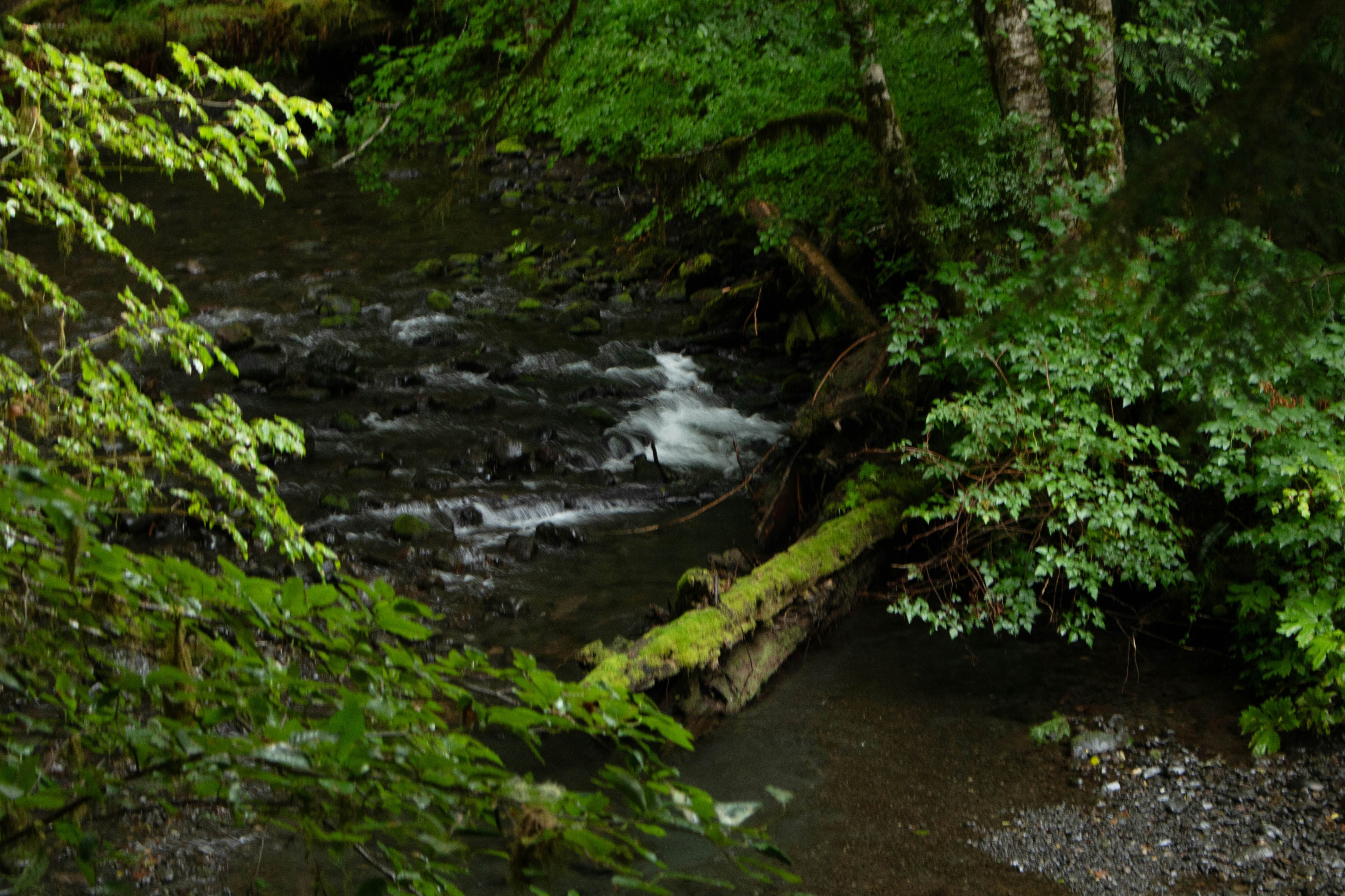 Photo by zoshuacolah