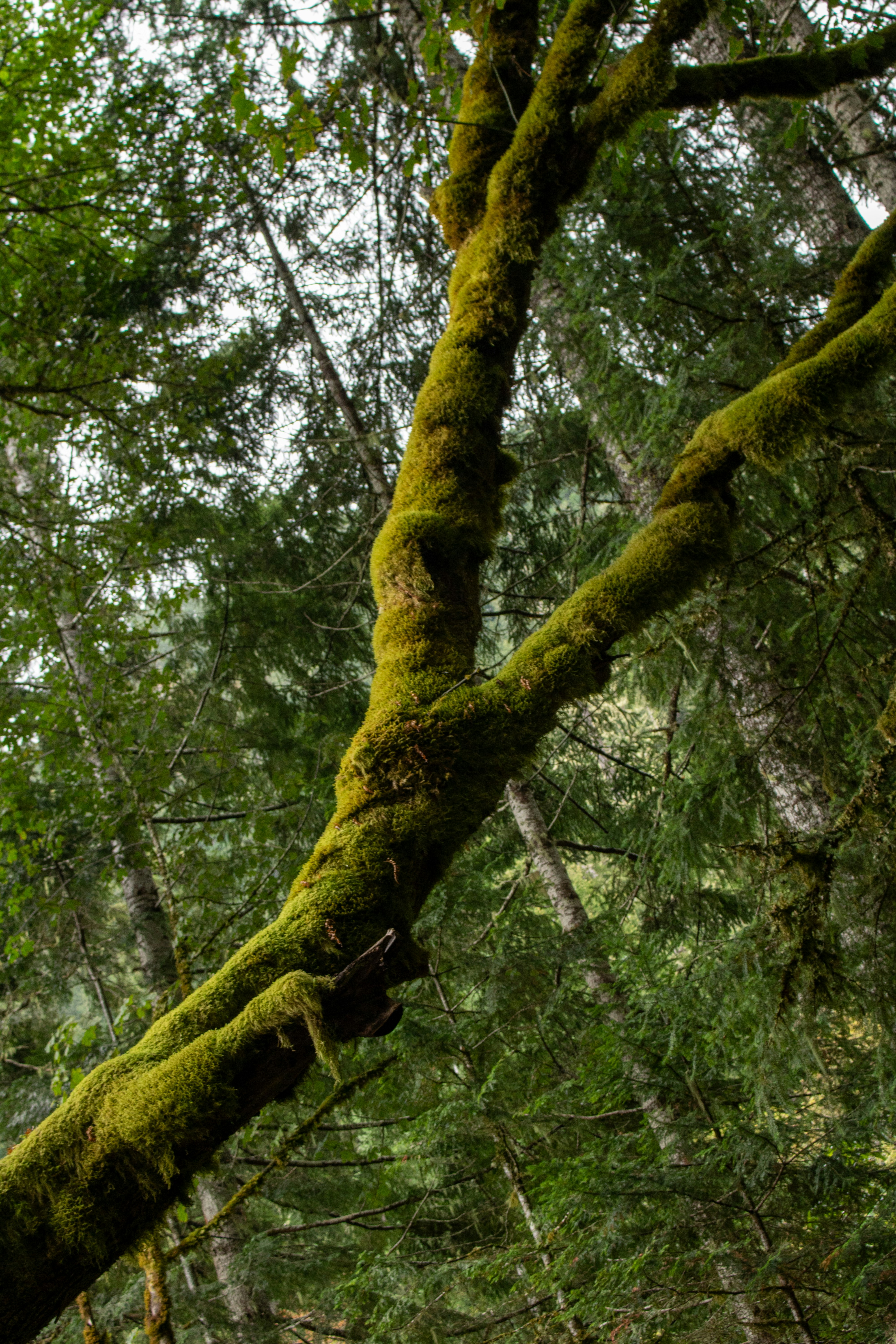 Photo by zoshuacolah