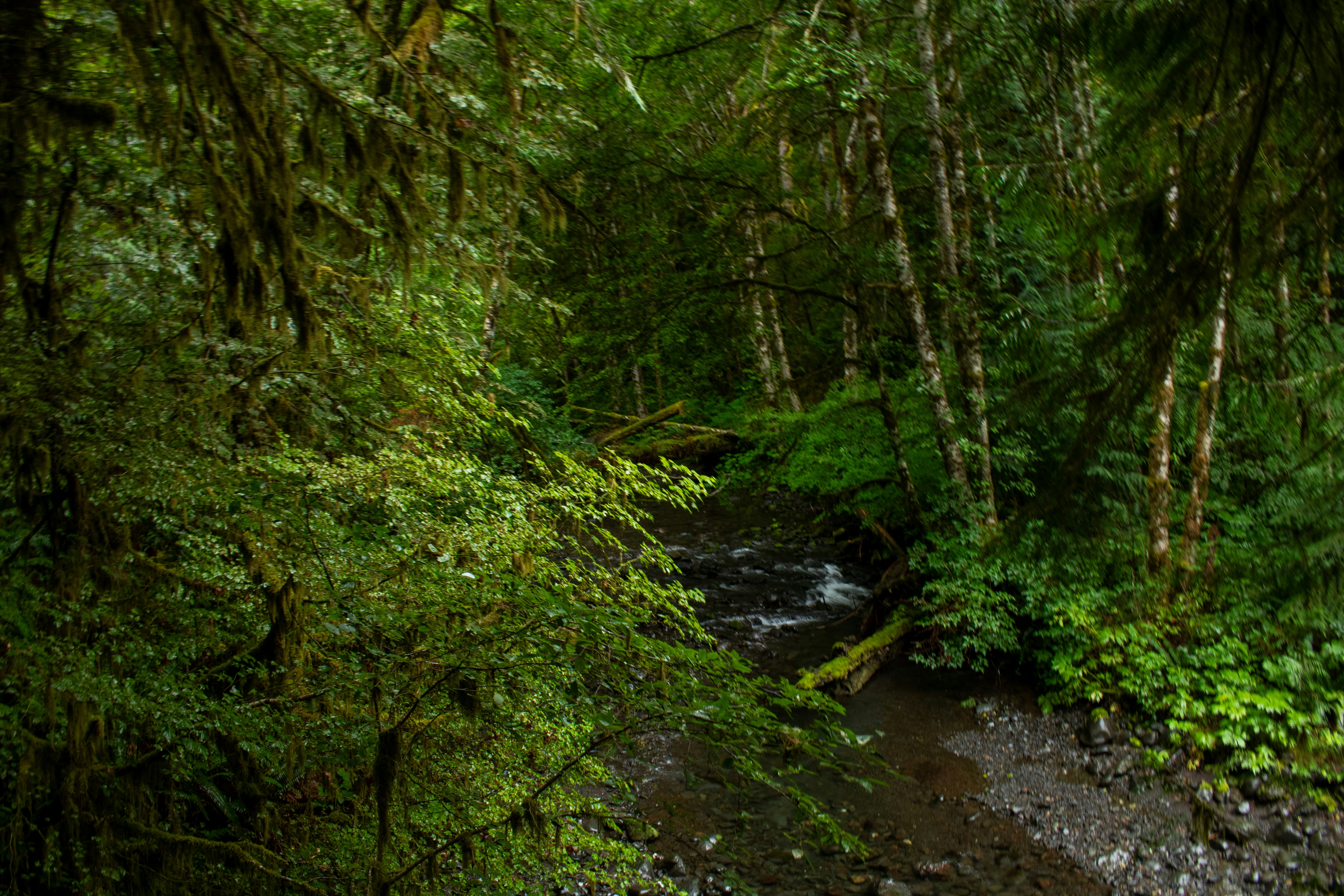 Photo by zoshuacolah