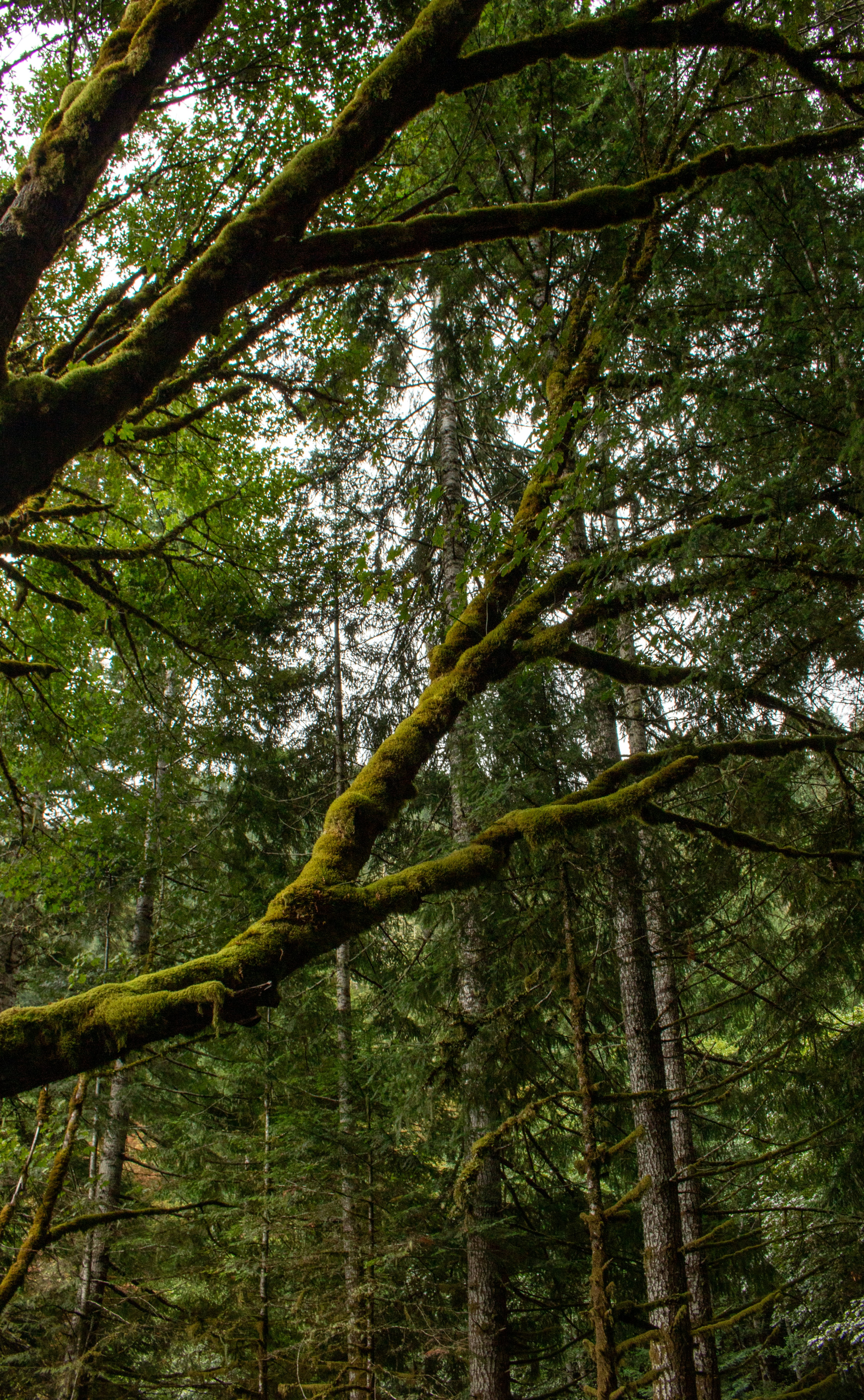 Photo by zoshuacolah