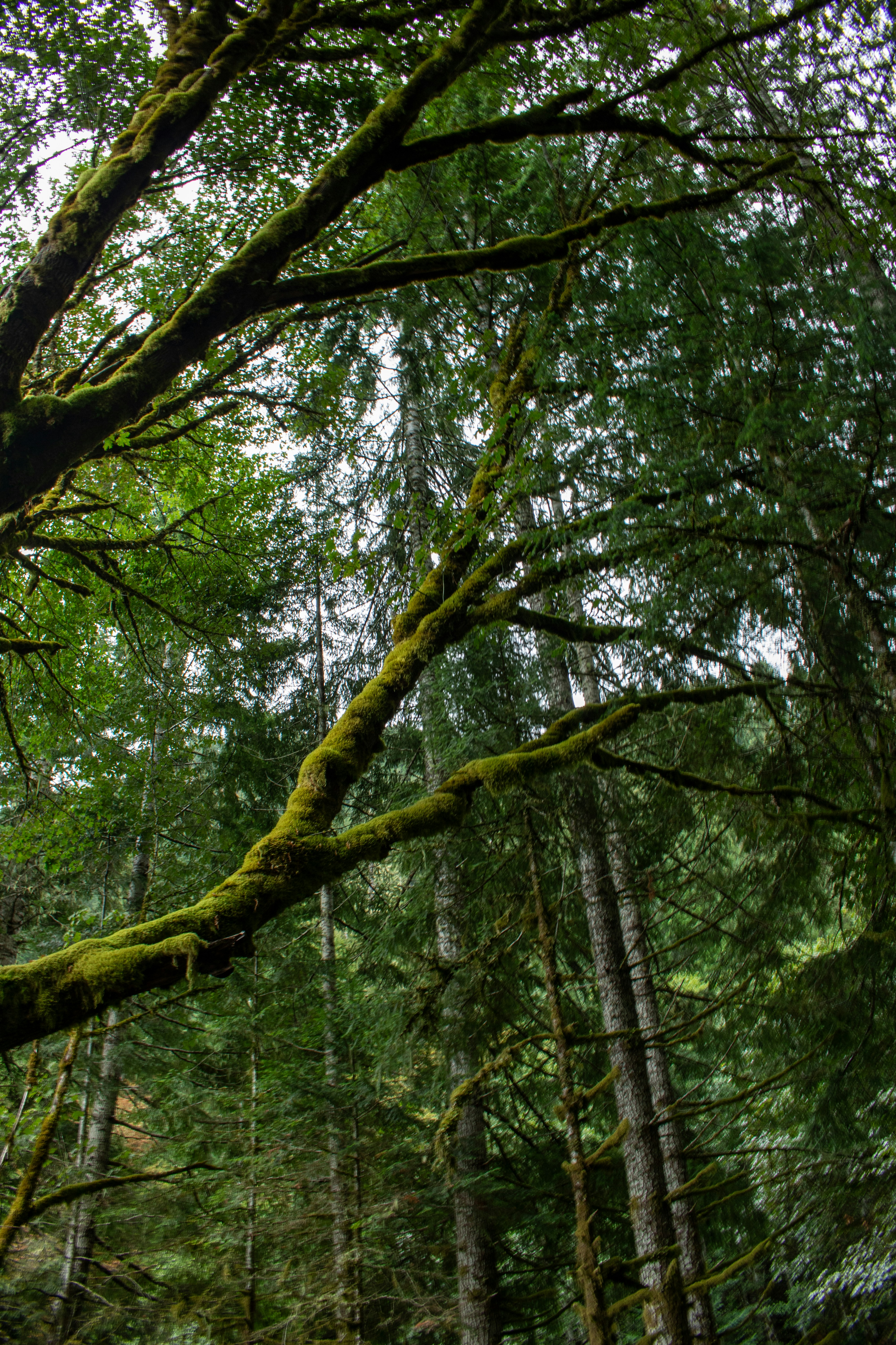 Photo by zoshuacolah