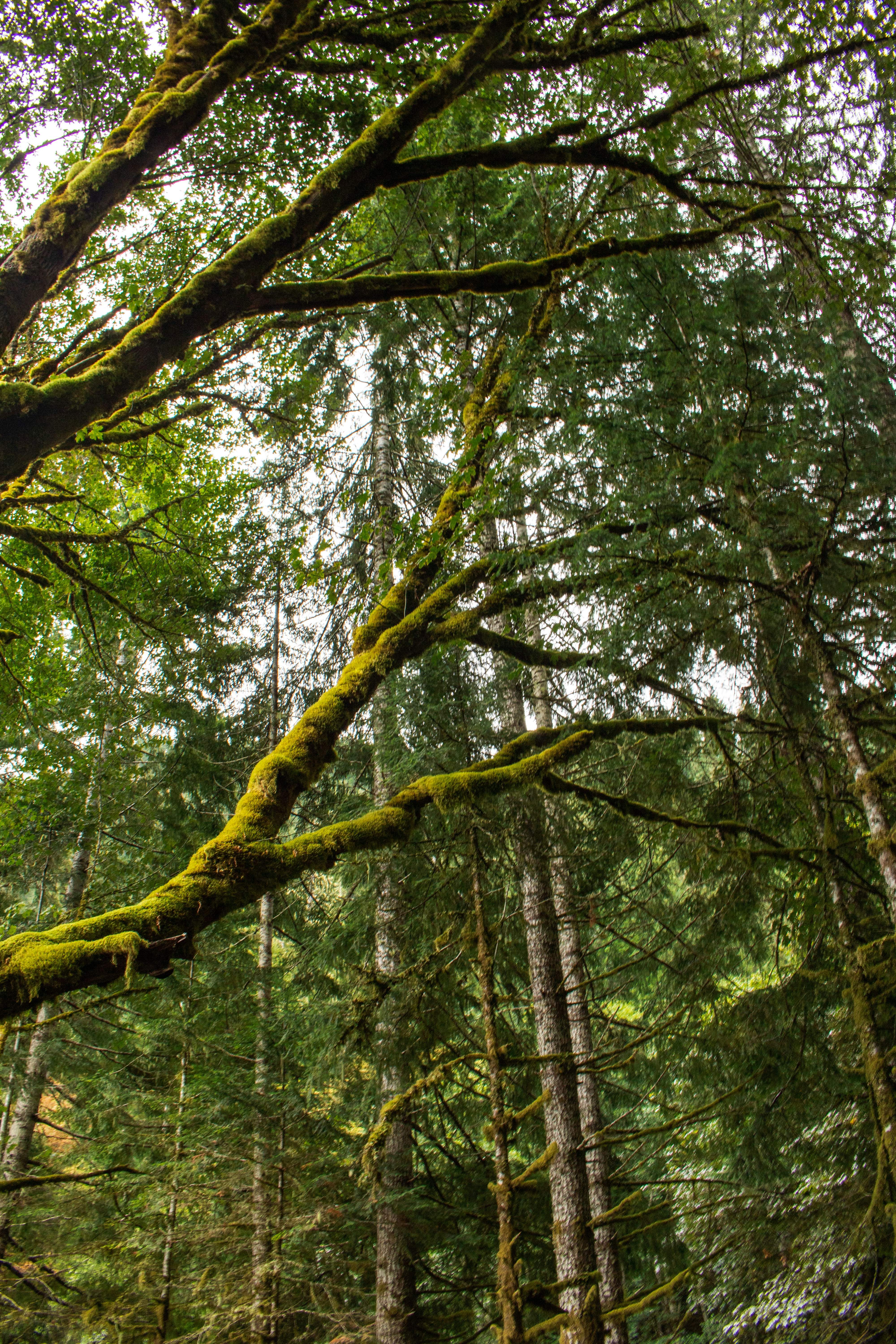 Photo by zoshuacolah