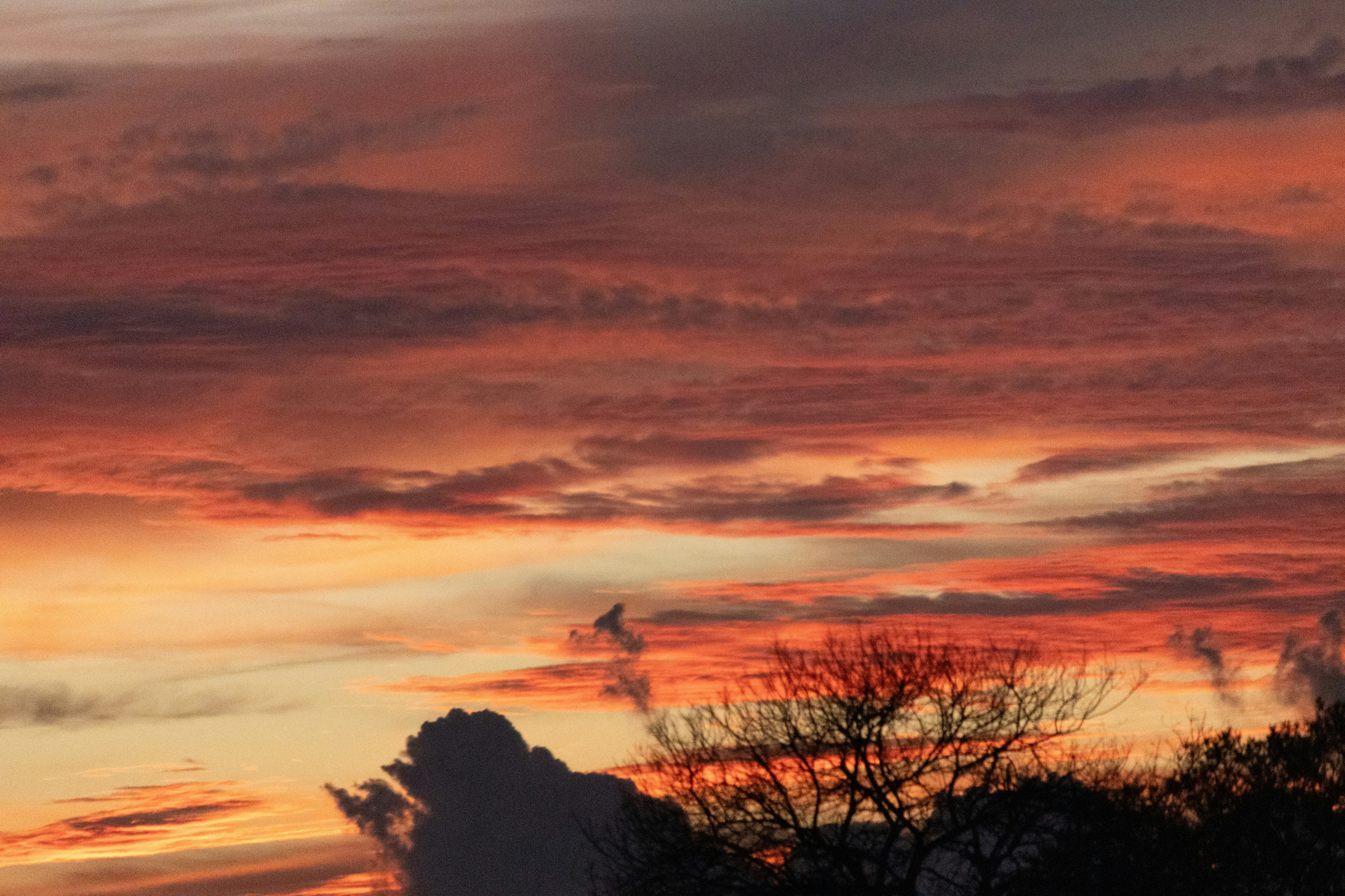 A red sky with clouds and trees in the foreground