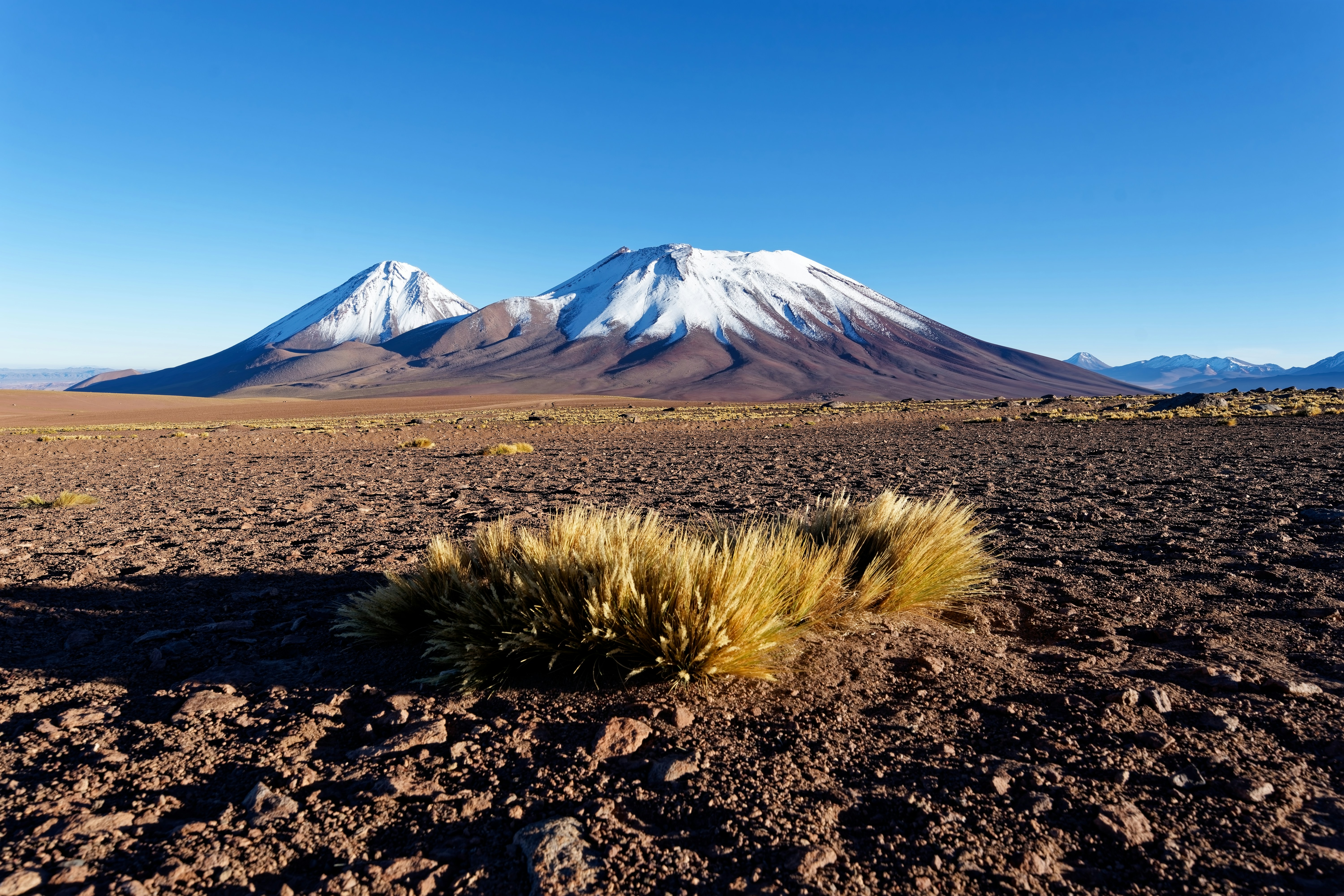 A desert landscape with mountains in the background