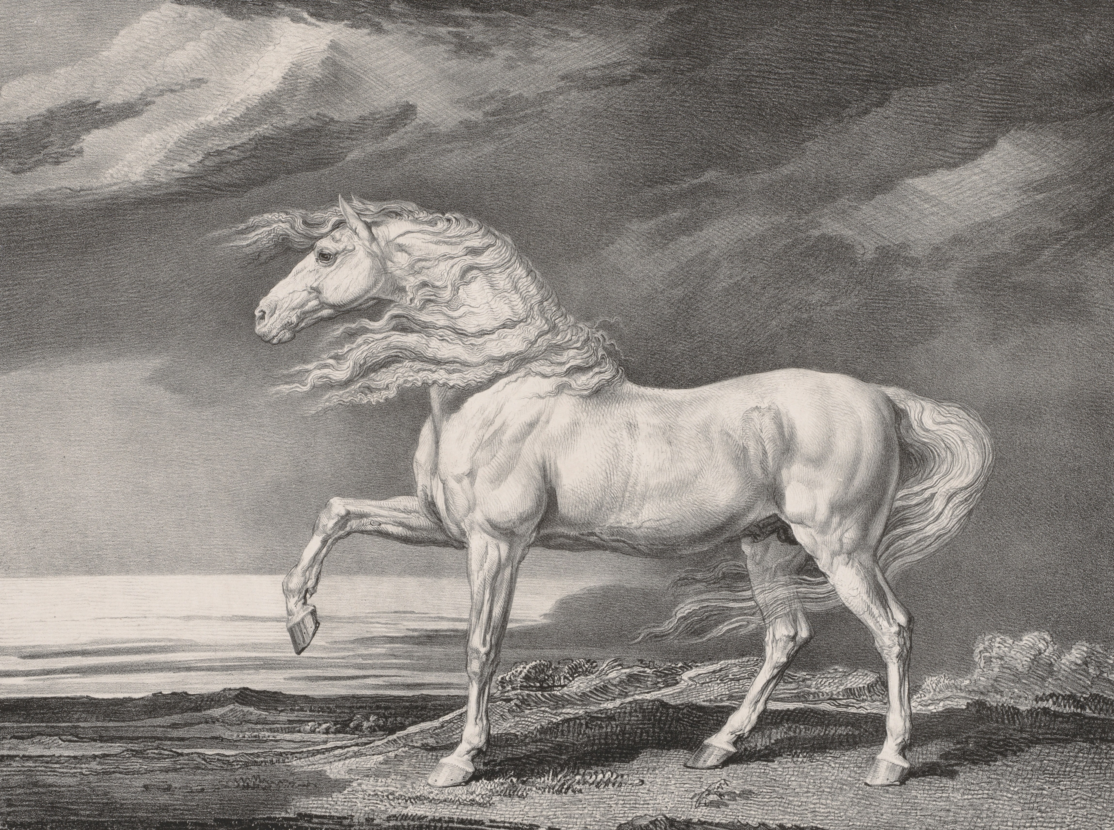 Photo by clevelandart