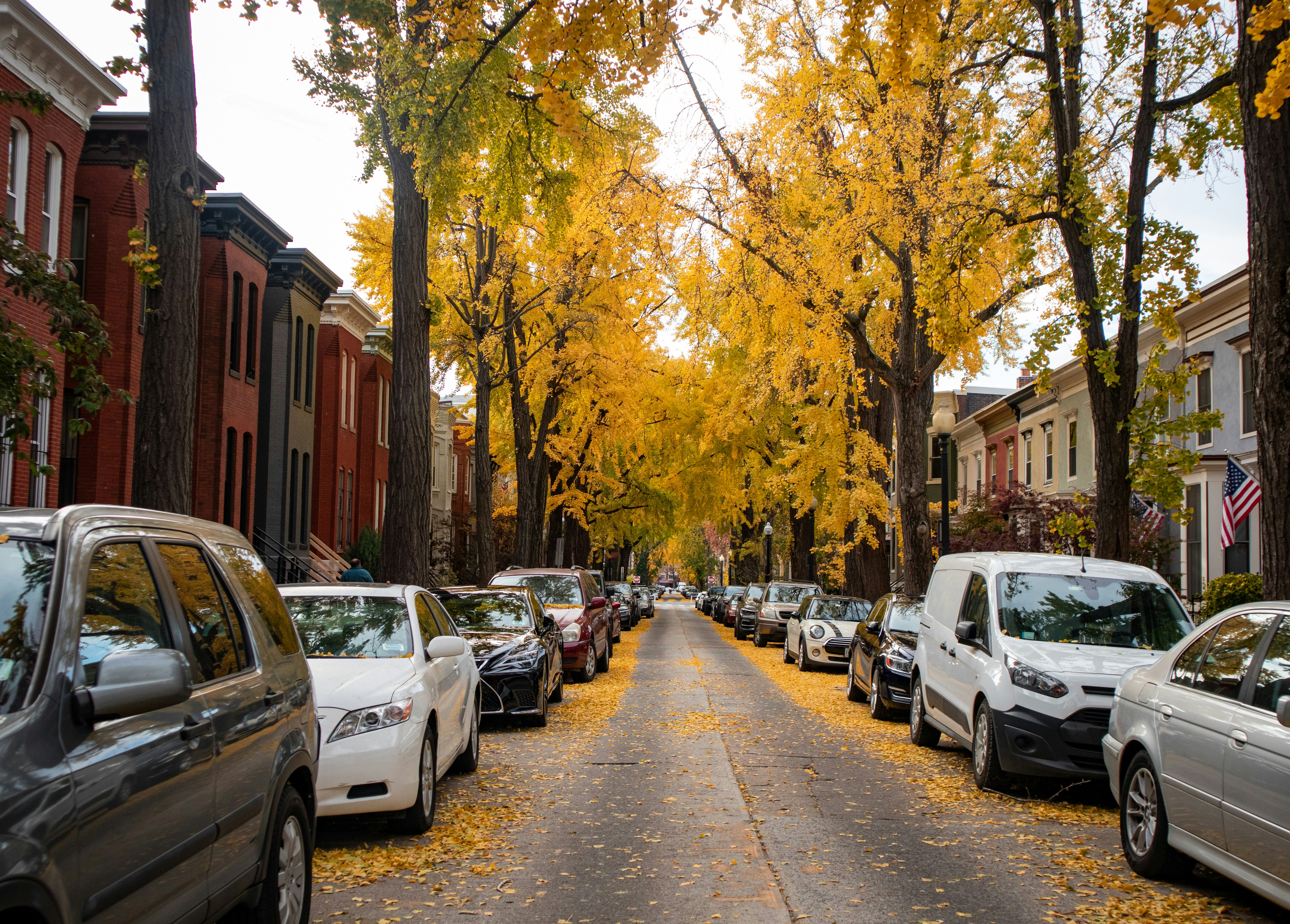 A row of parked cars on a city street