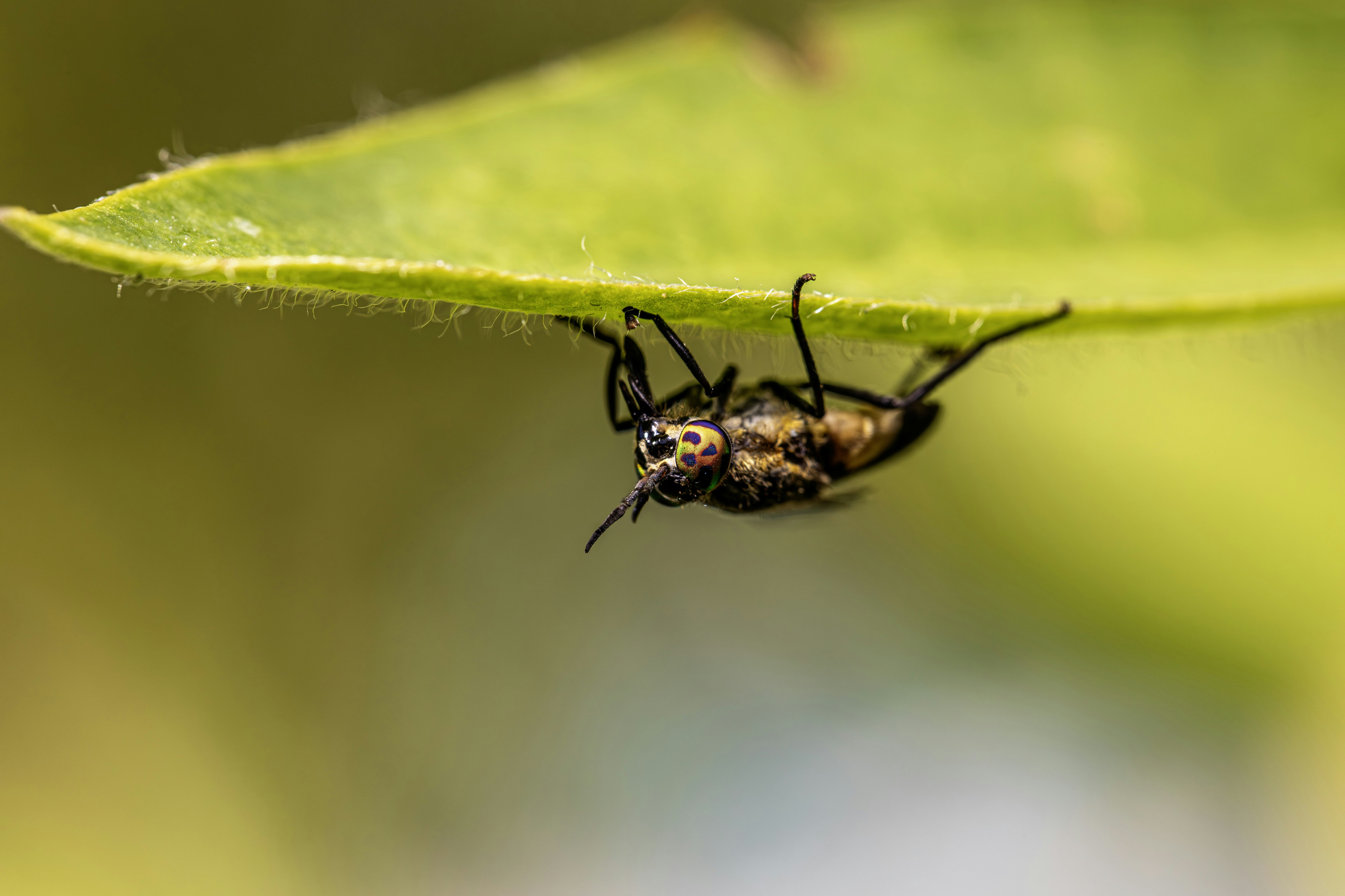 Photo by erik_karits