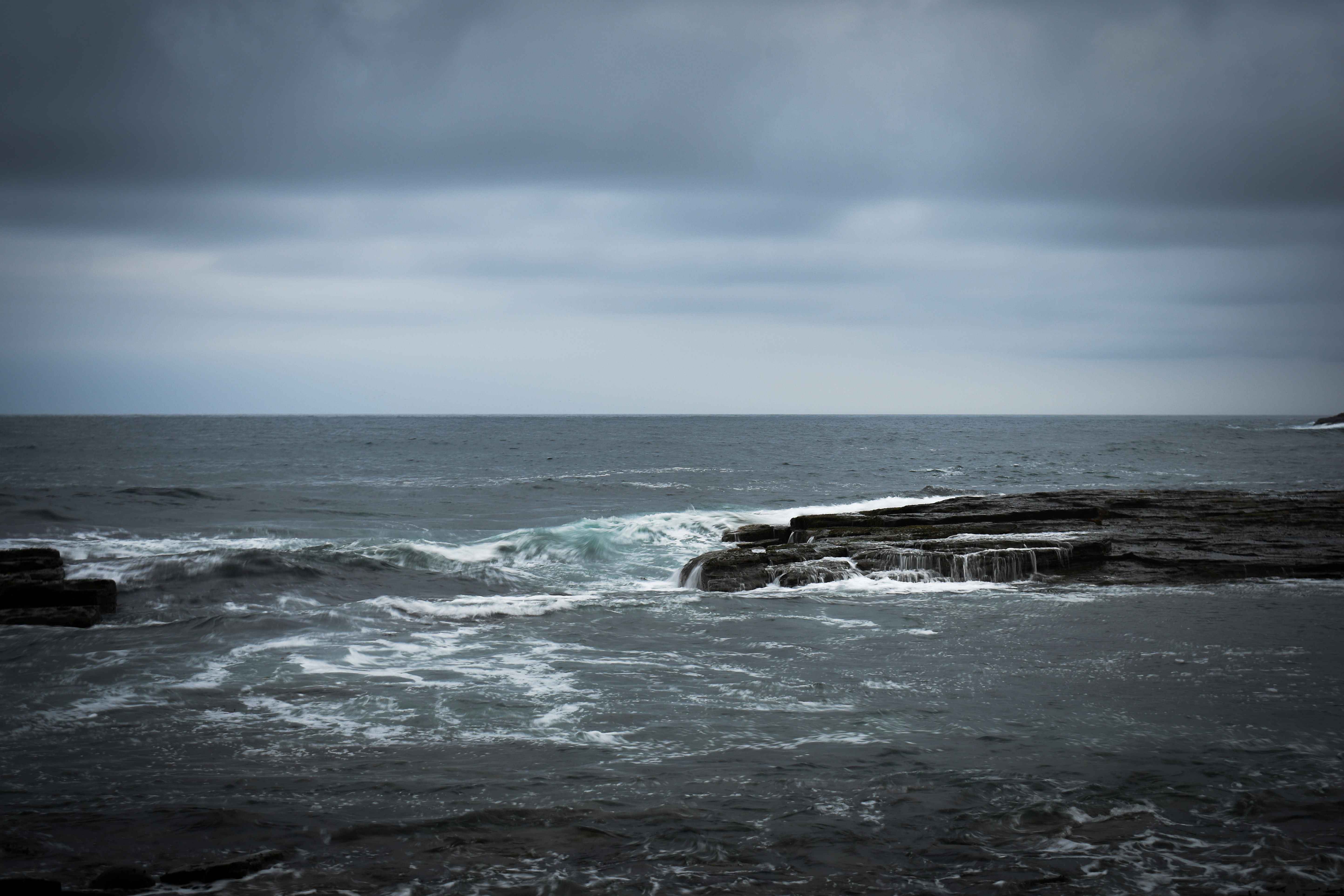 Photo by sneakygoblin036