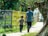 A man and a boy walking down a path