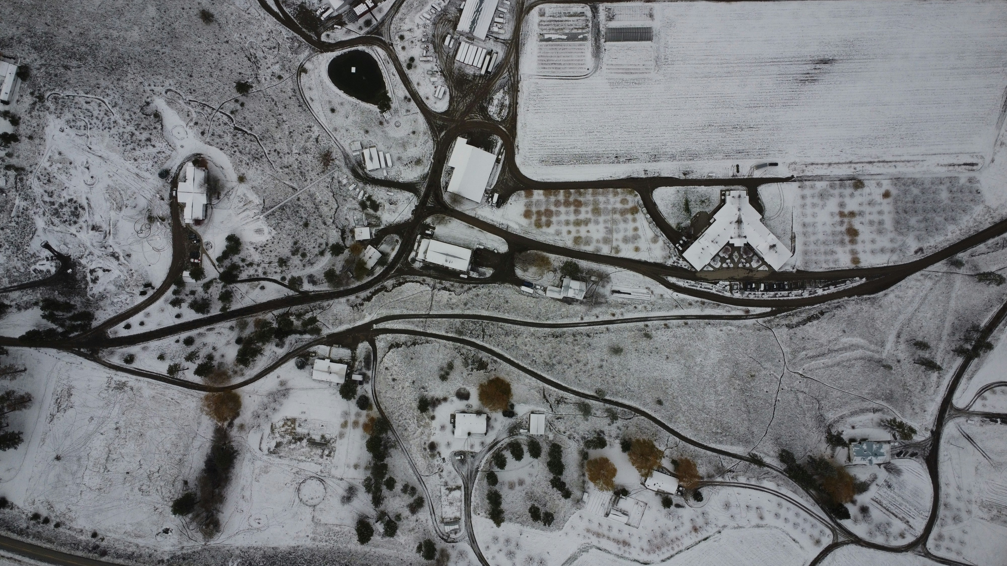 Photo by marmotdrones