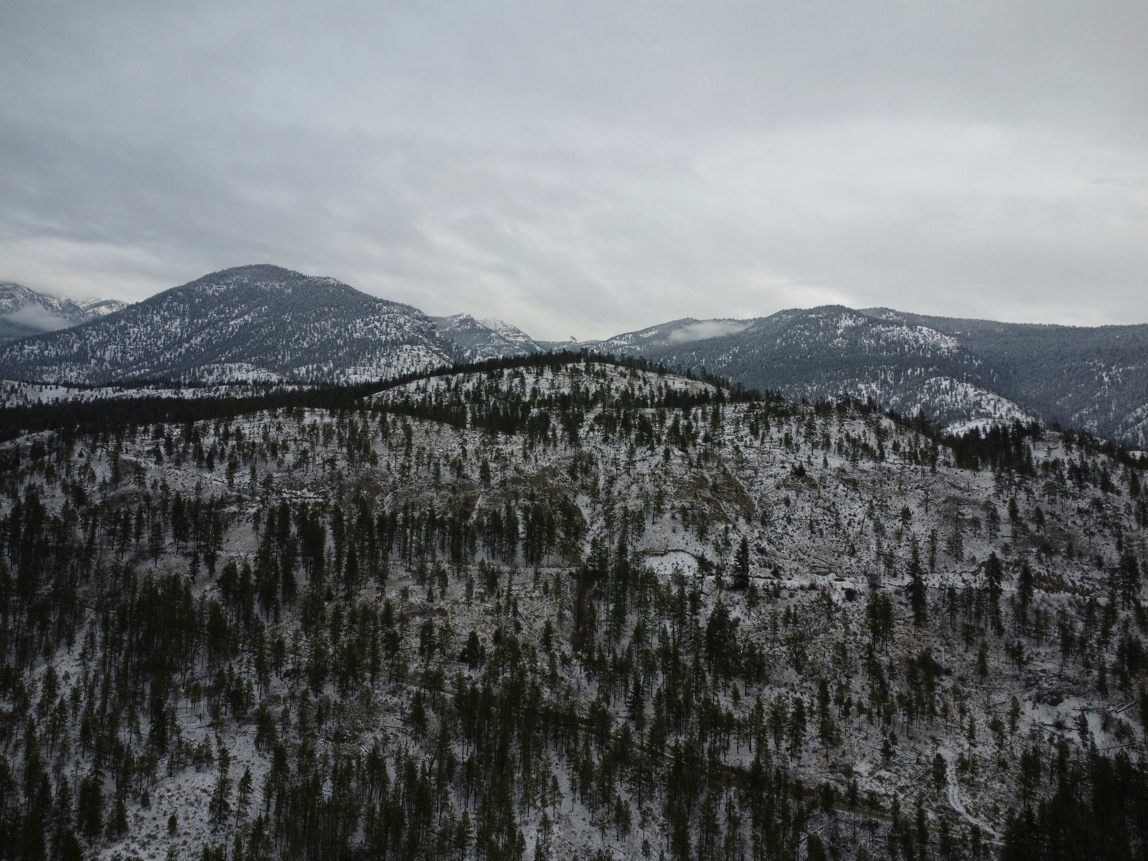 Photo by marmotdrones