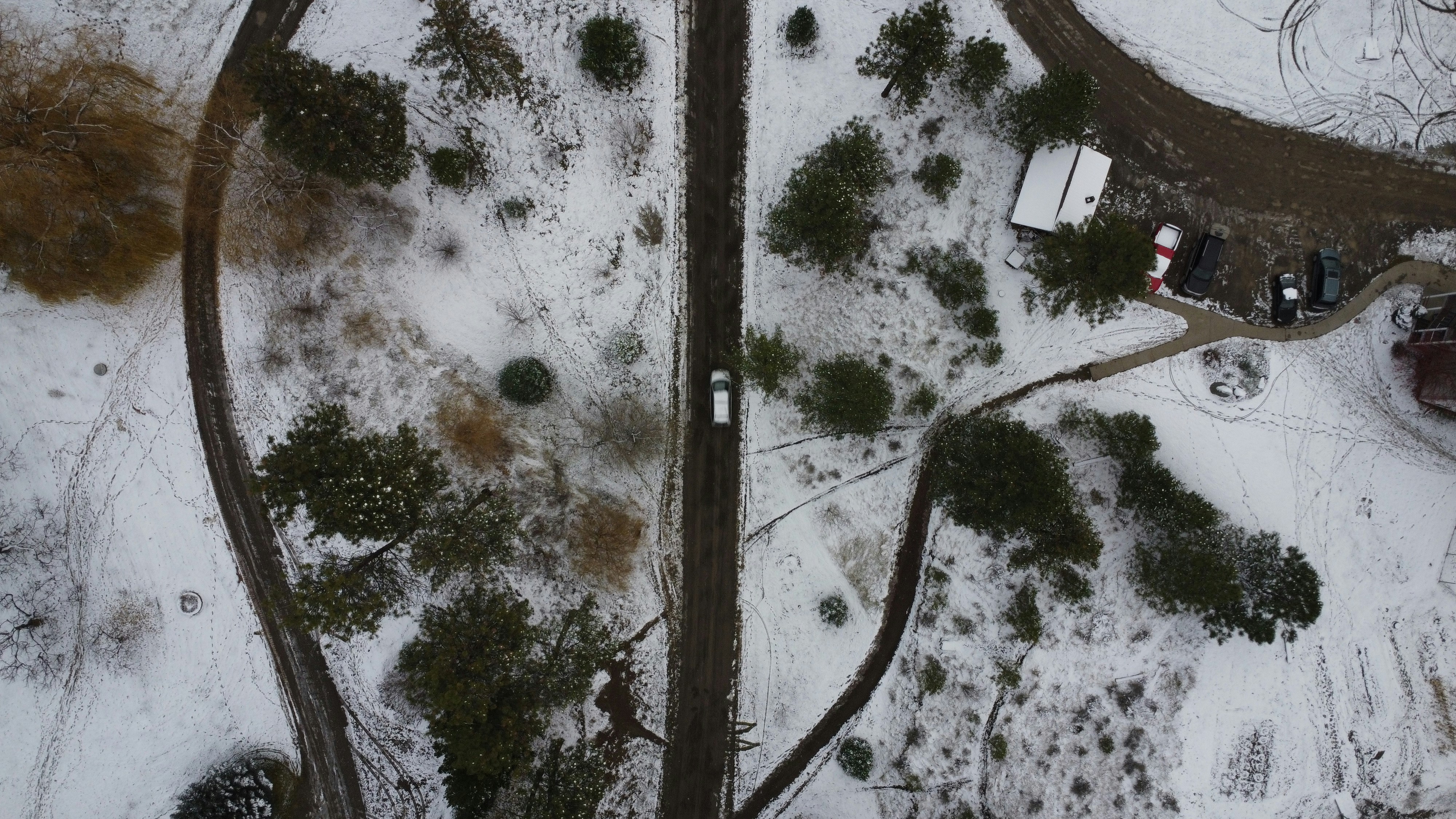 Photo by marmotdrones