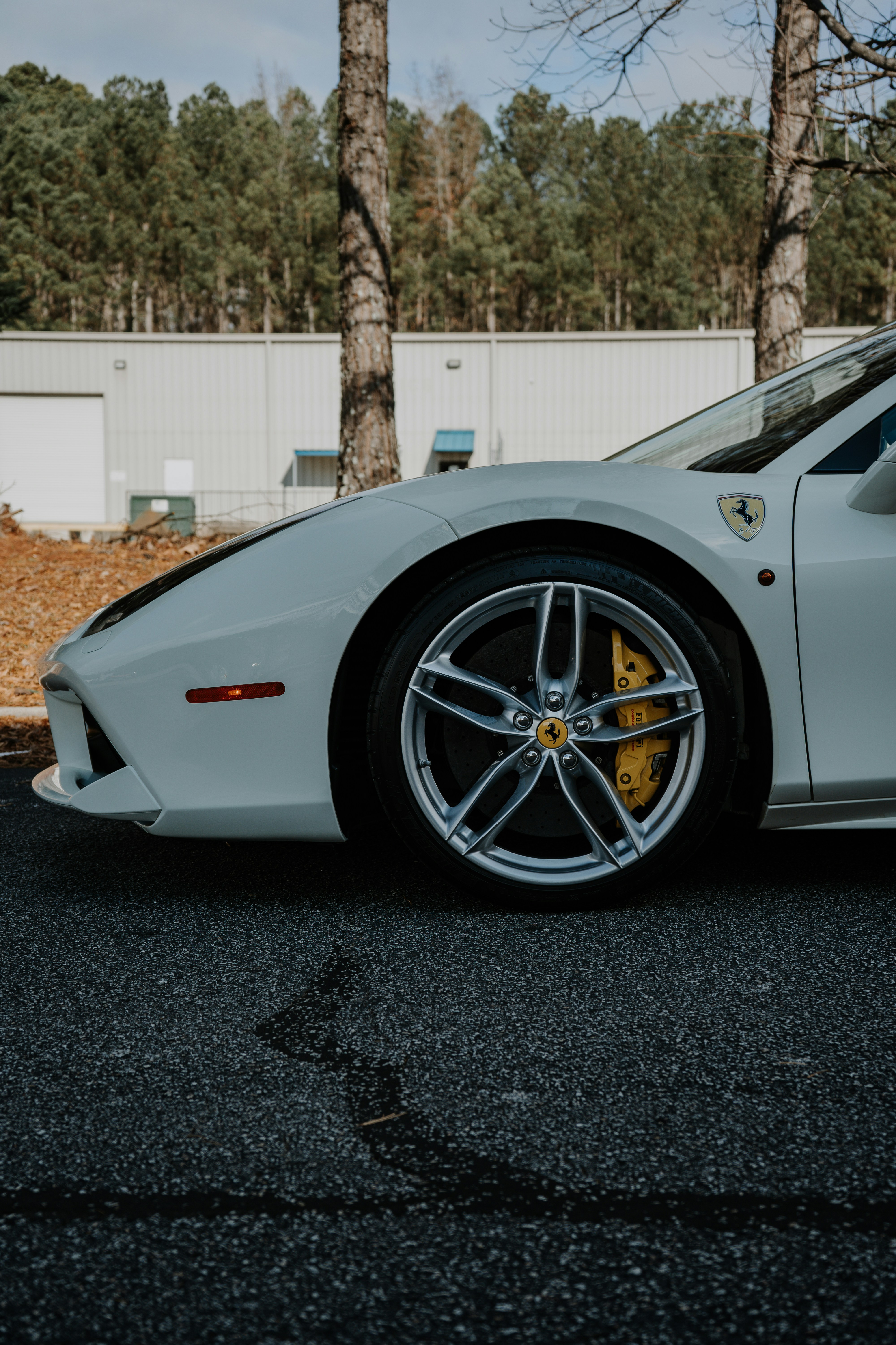 Photo by Rana Singh on Unsplash