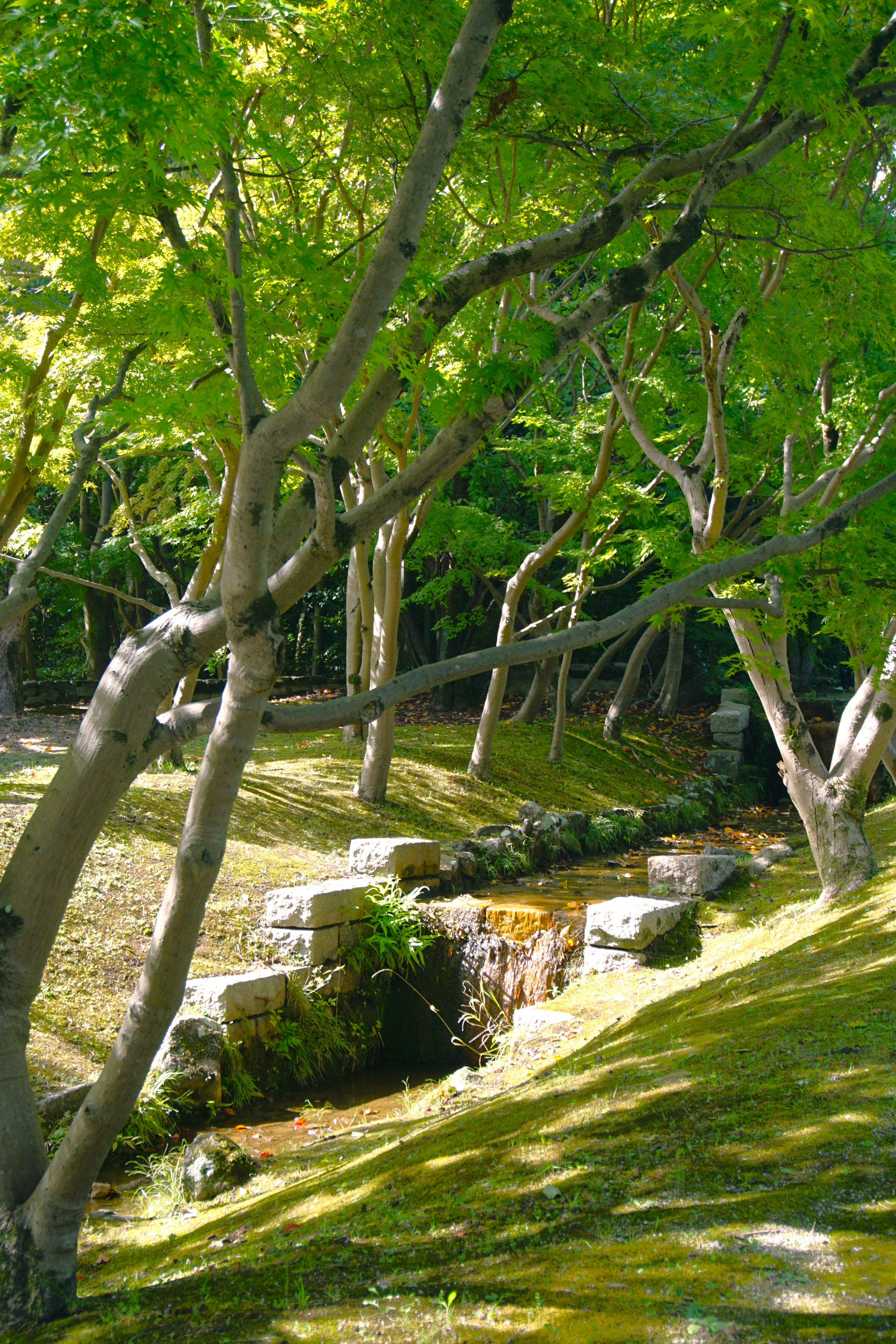 Photo by syadzasalsabyla