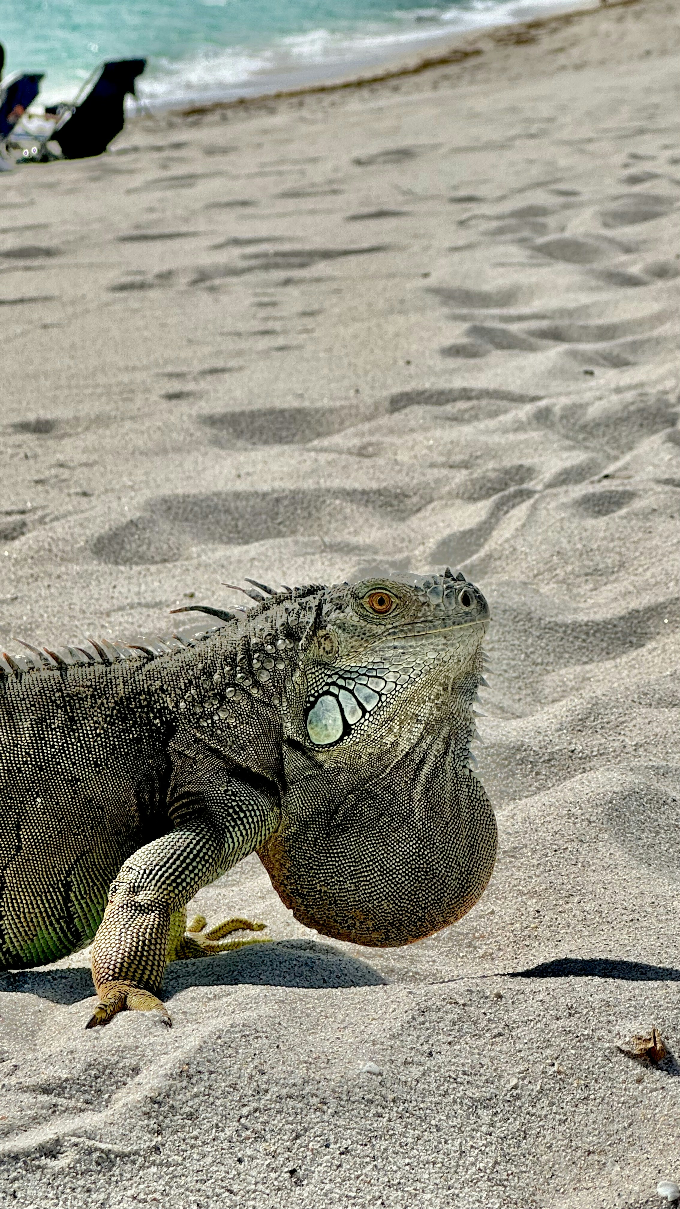 Photo by juanmascan1978