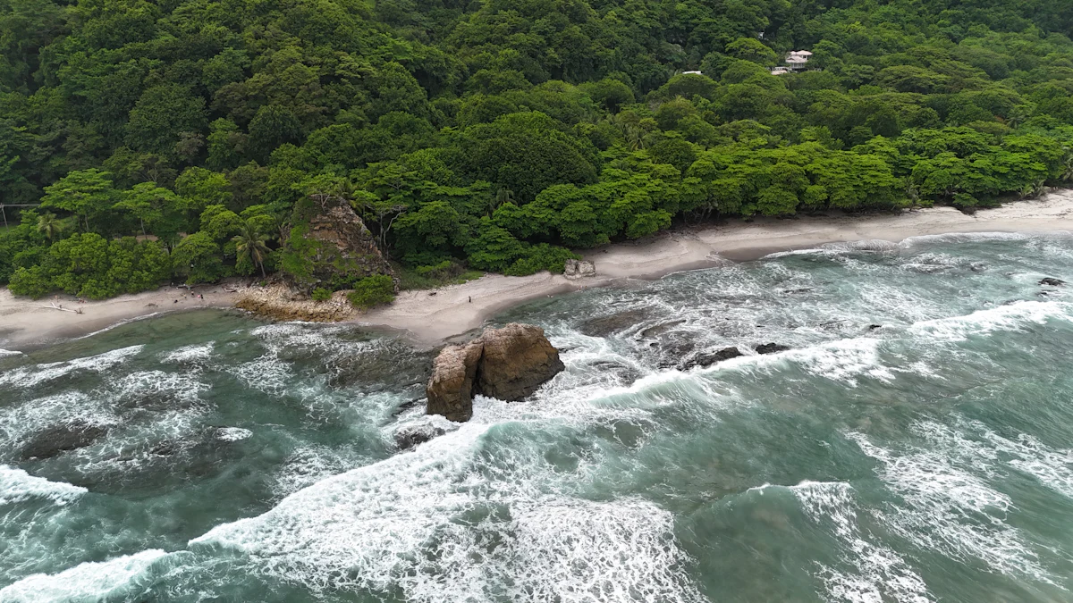 Elephant Beach