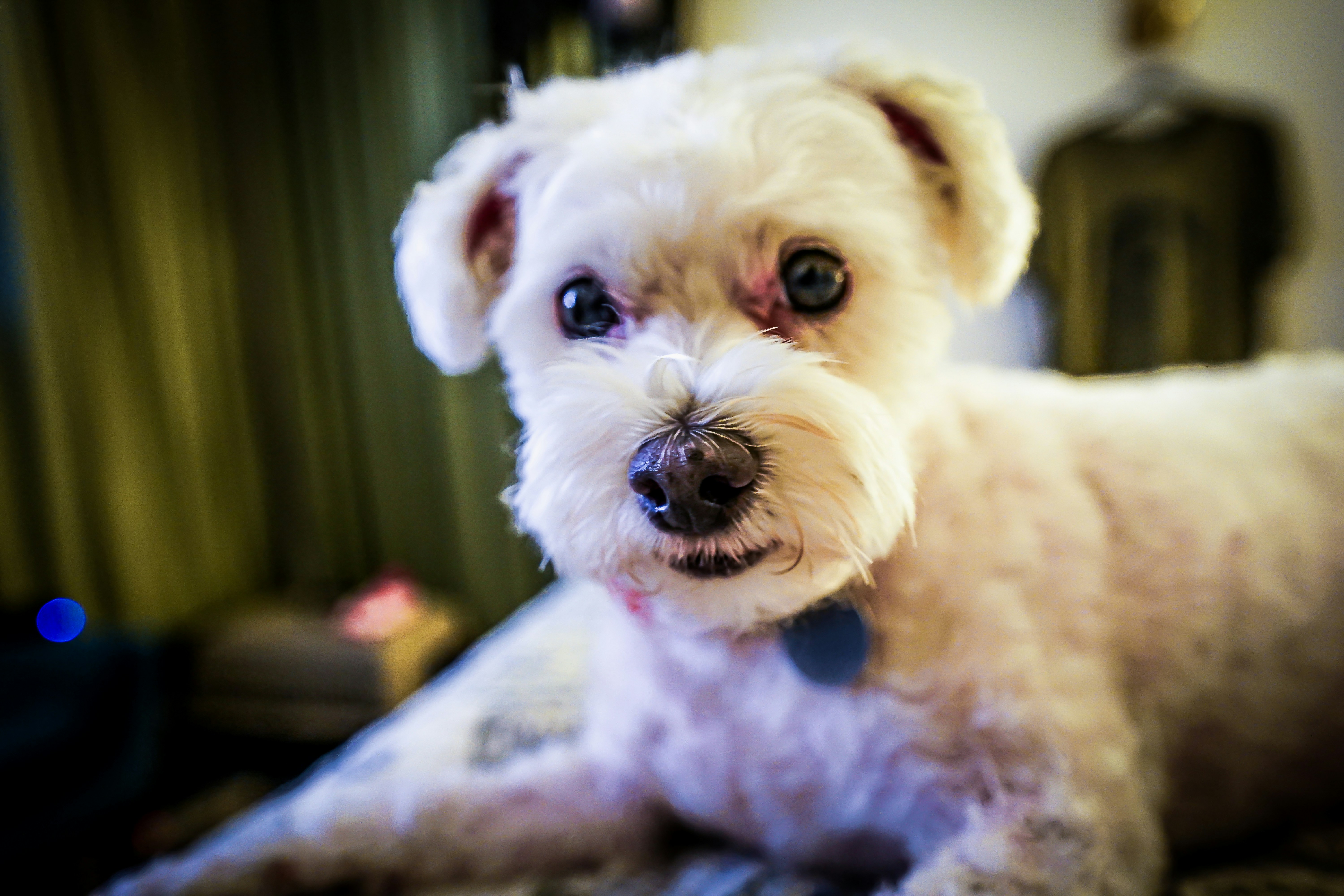 Photo by ghostdogg187