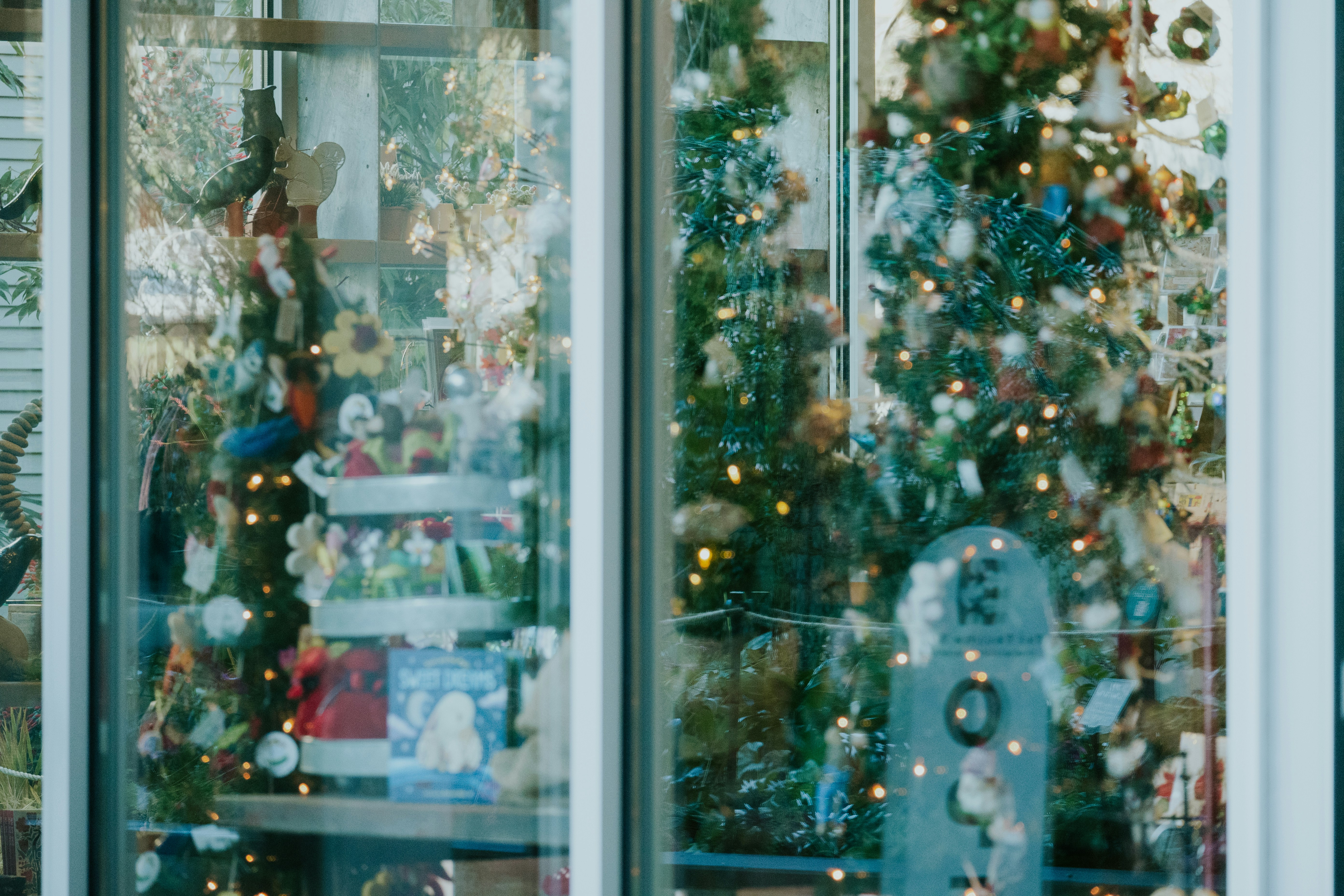 A store window with a christmas tree in the window