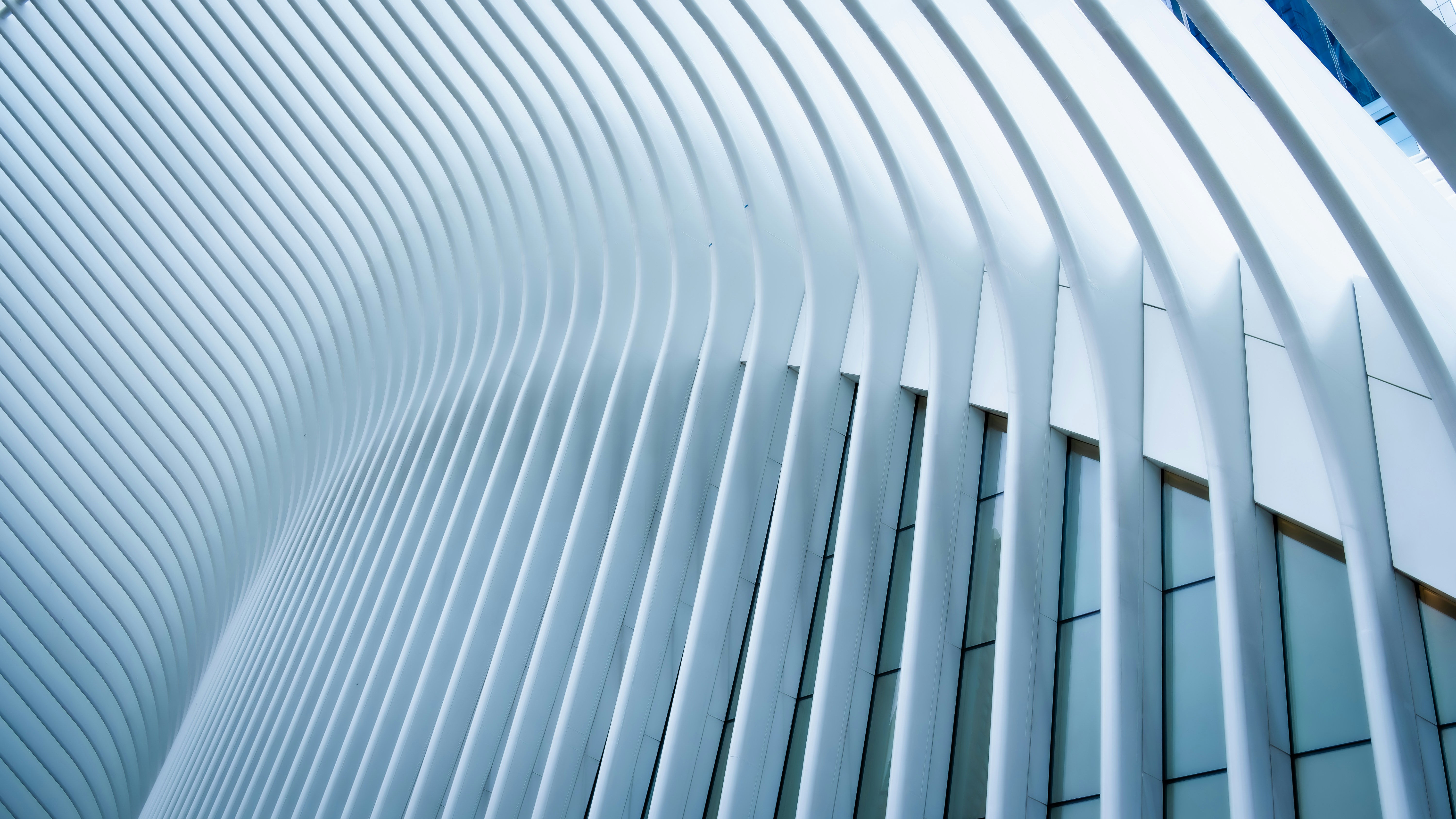 Photo by ghostdogg187