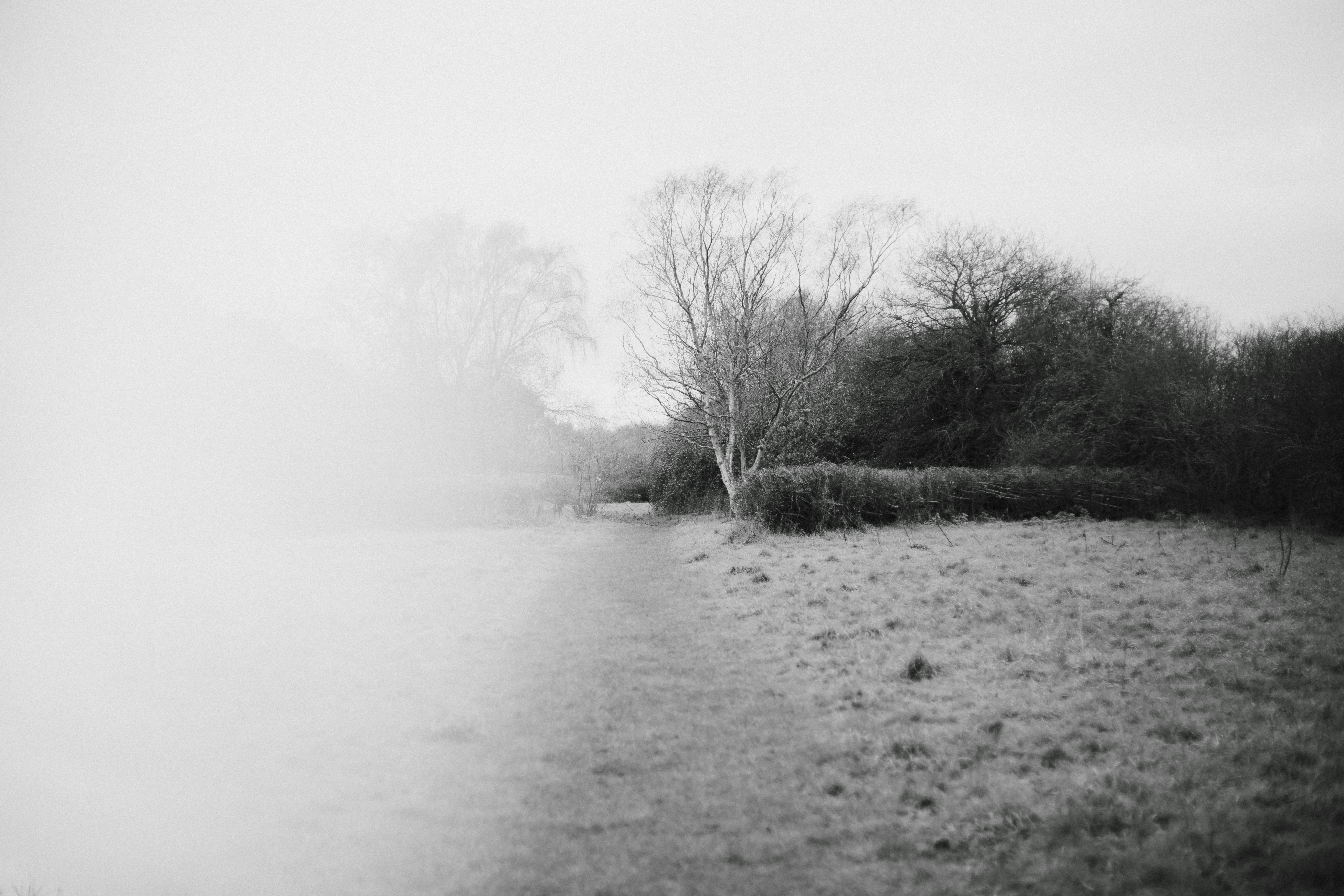 Photo by anniespratt