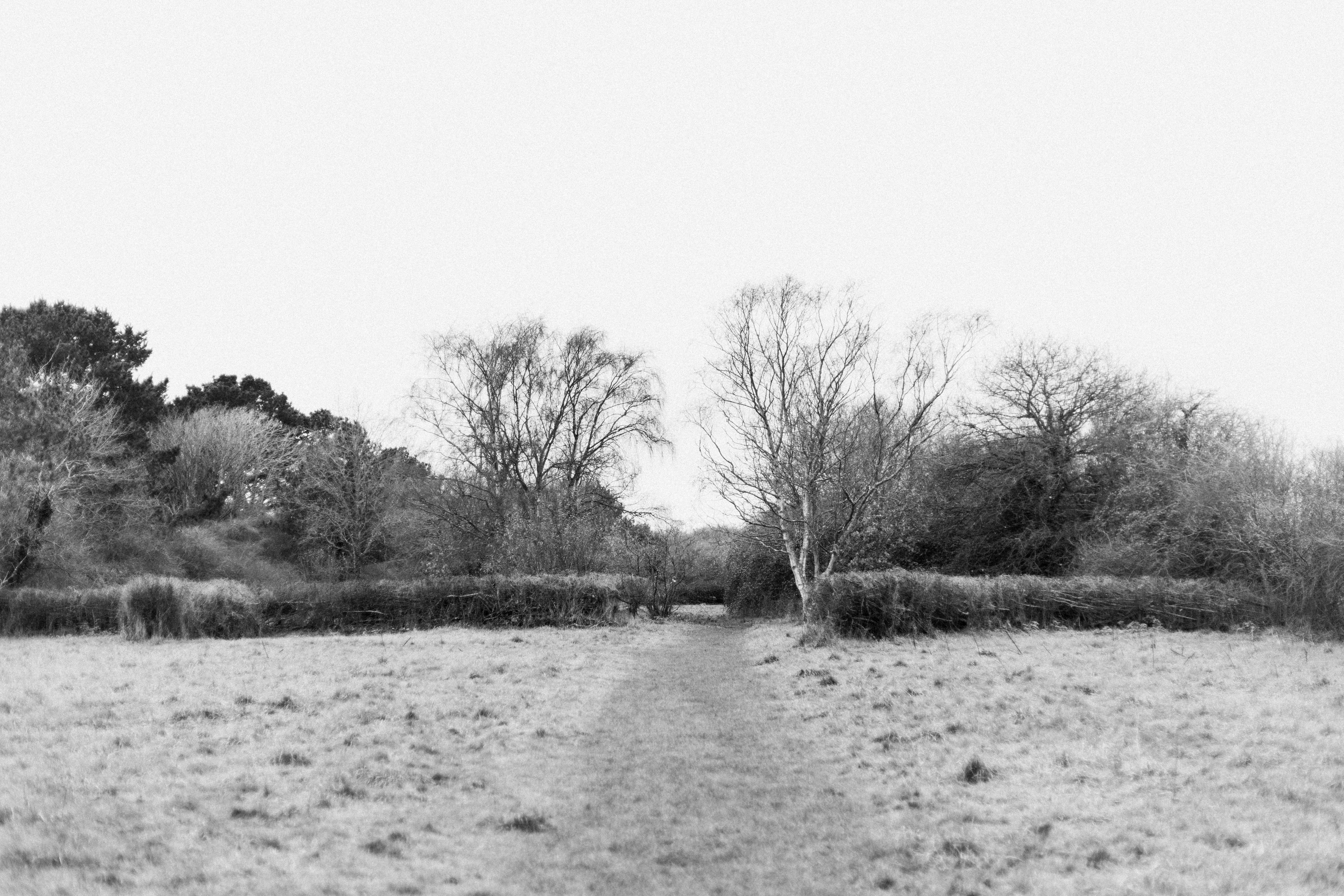 Photo by anniespratt