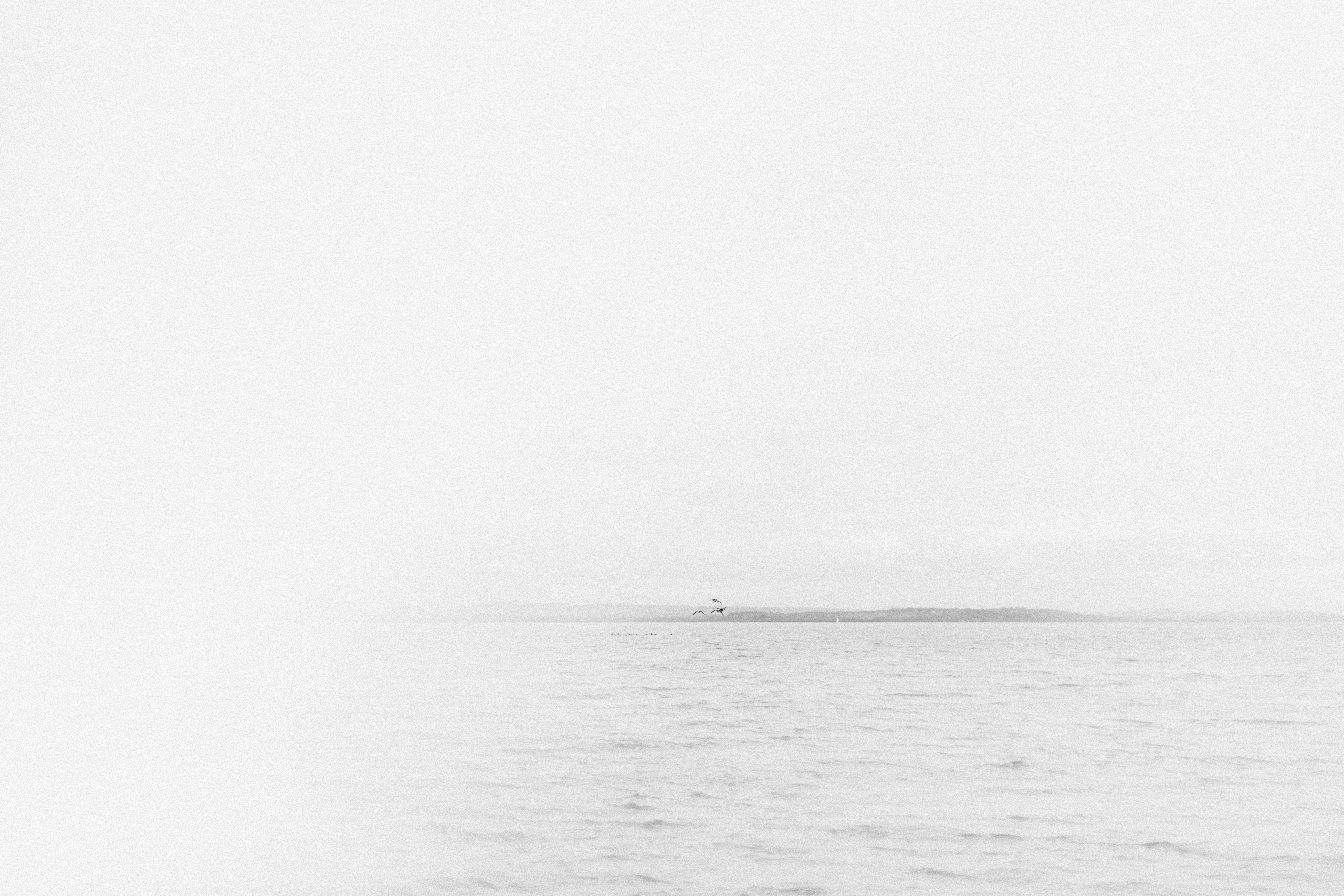 Photo by anniespratt