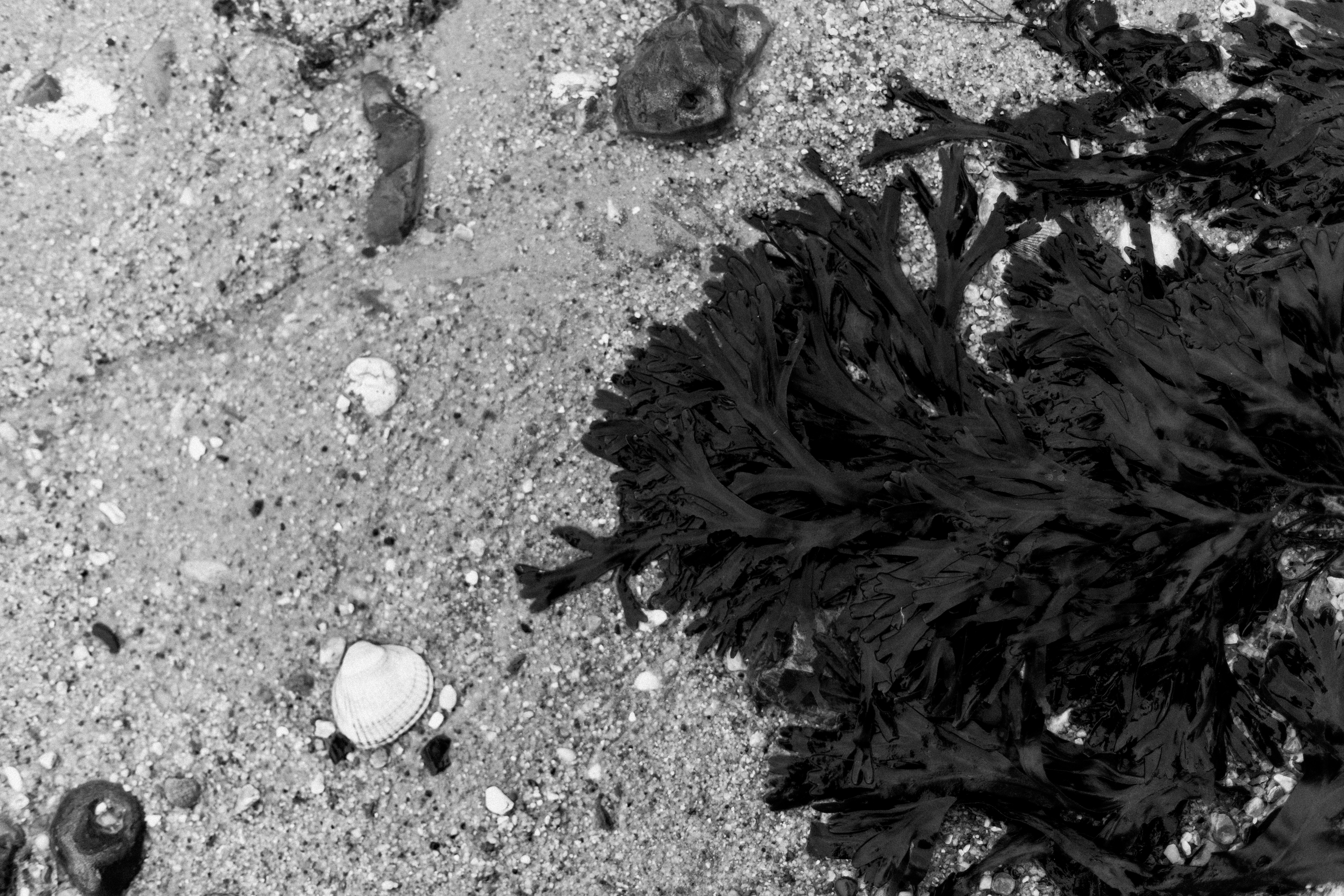 Photo by anniespratt