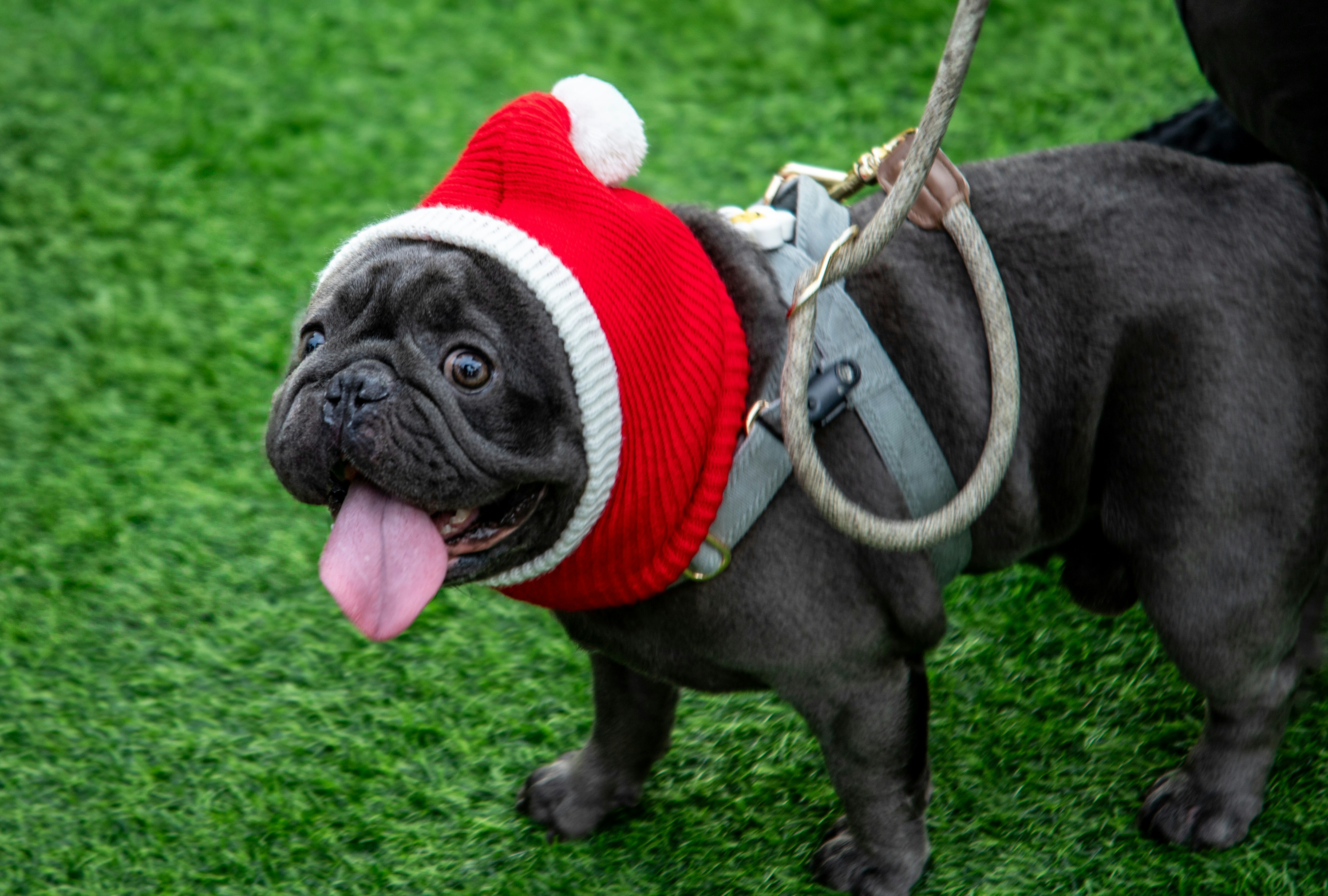 MBTI 대표 이미지