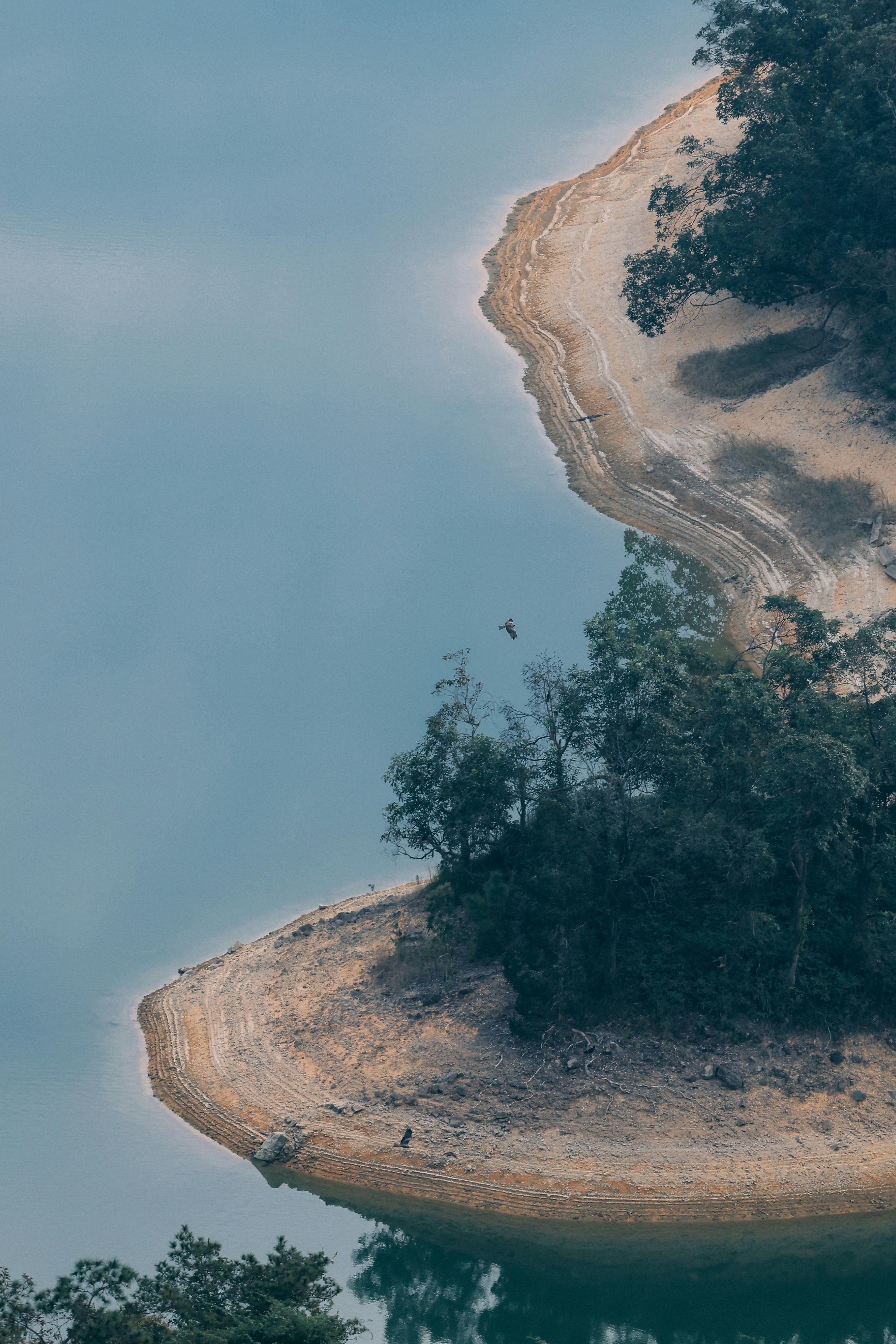 Photo by dickenslin76