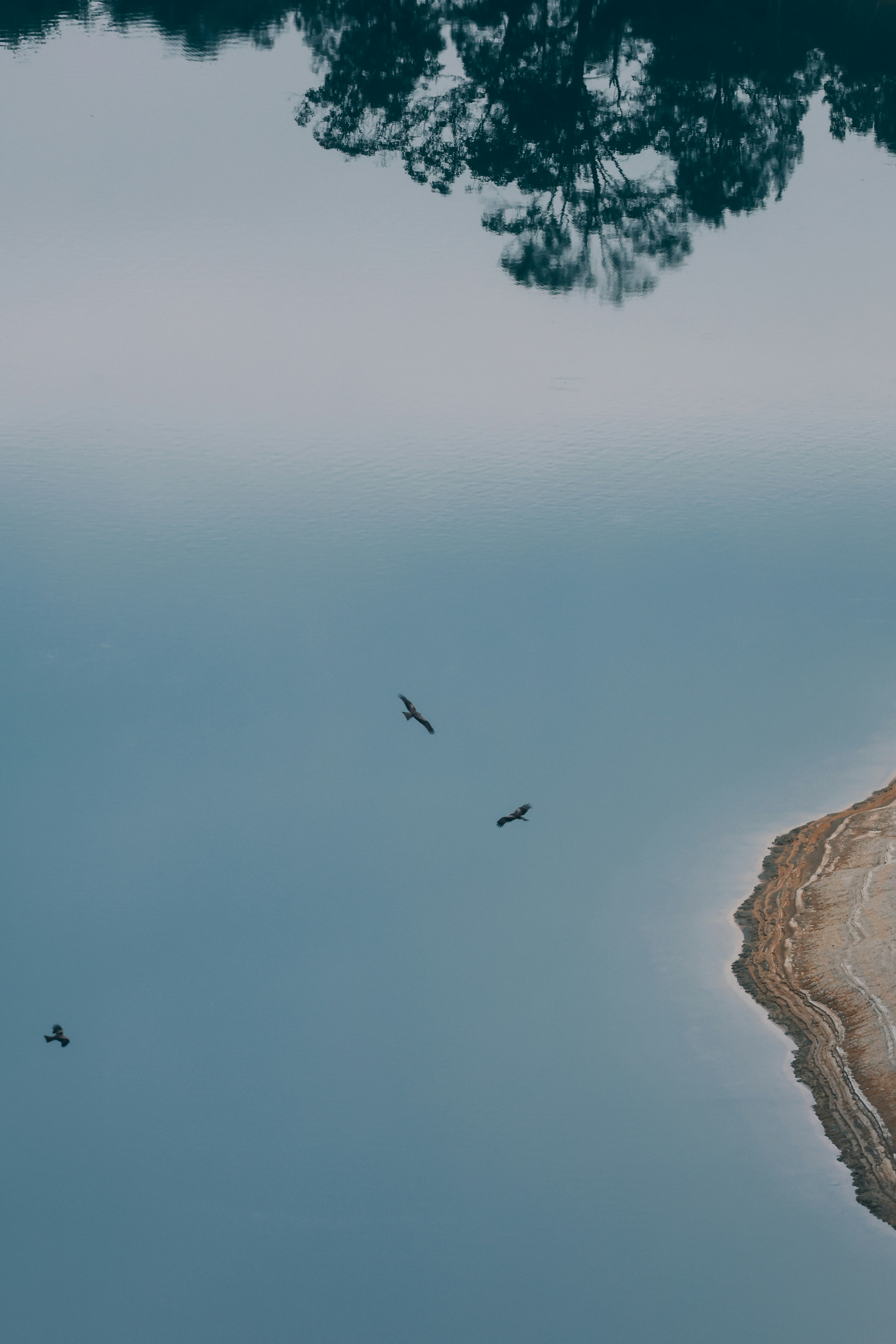 Photo by dickenslin76