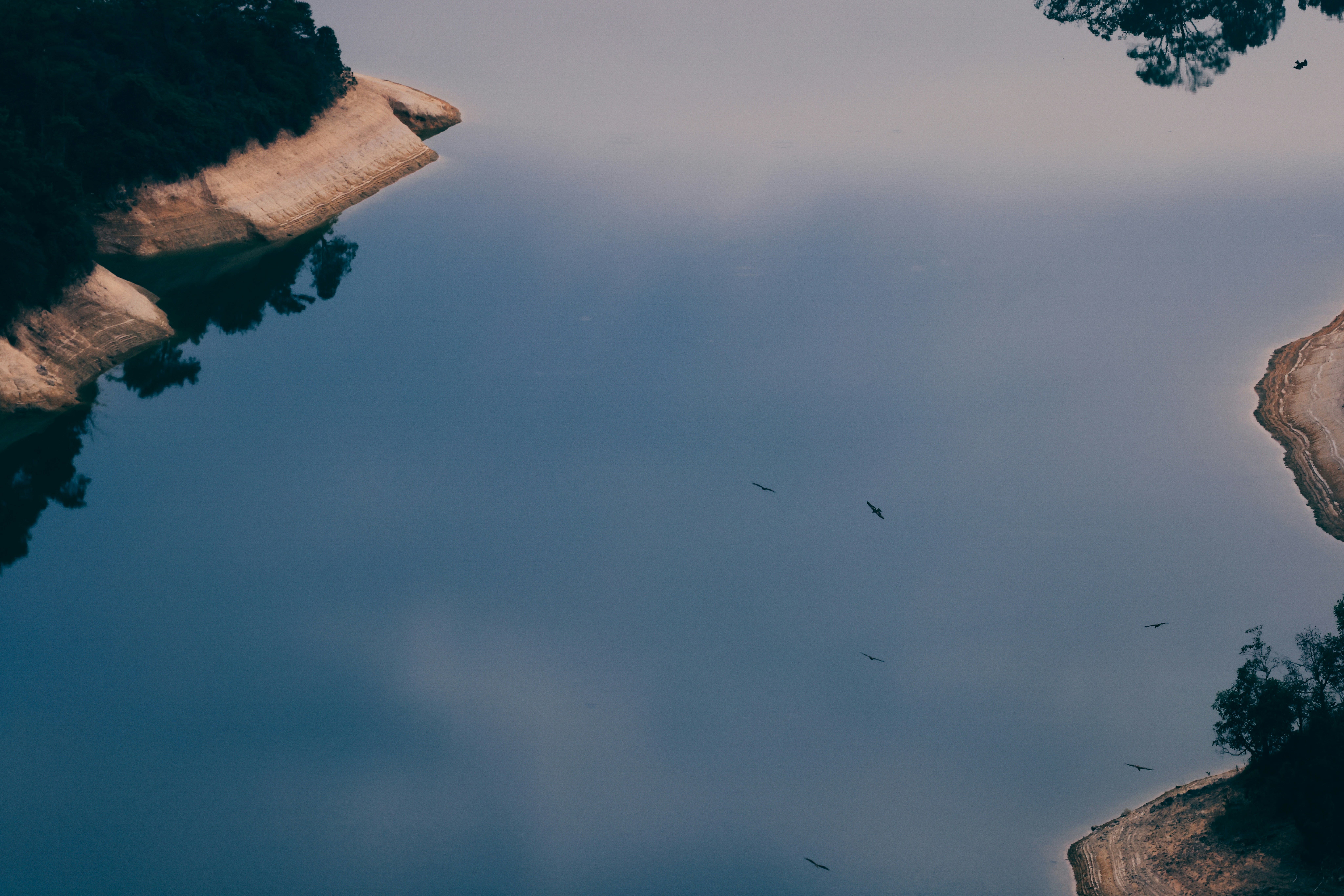 Photo by dickenslin76