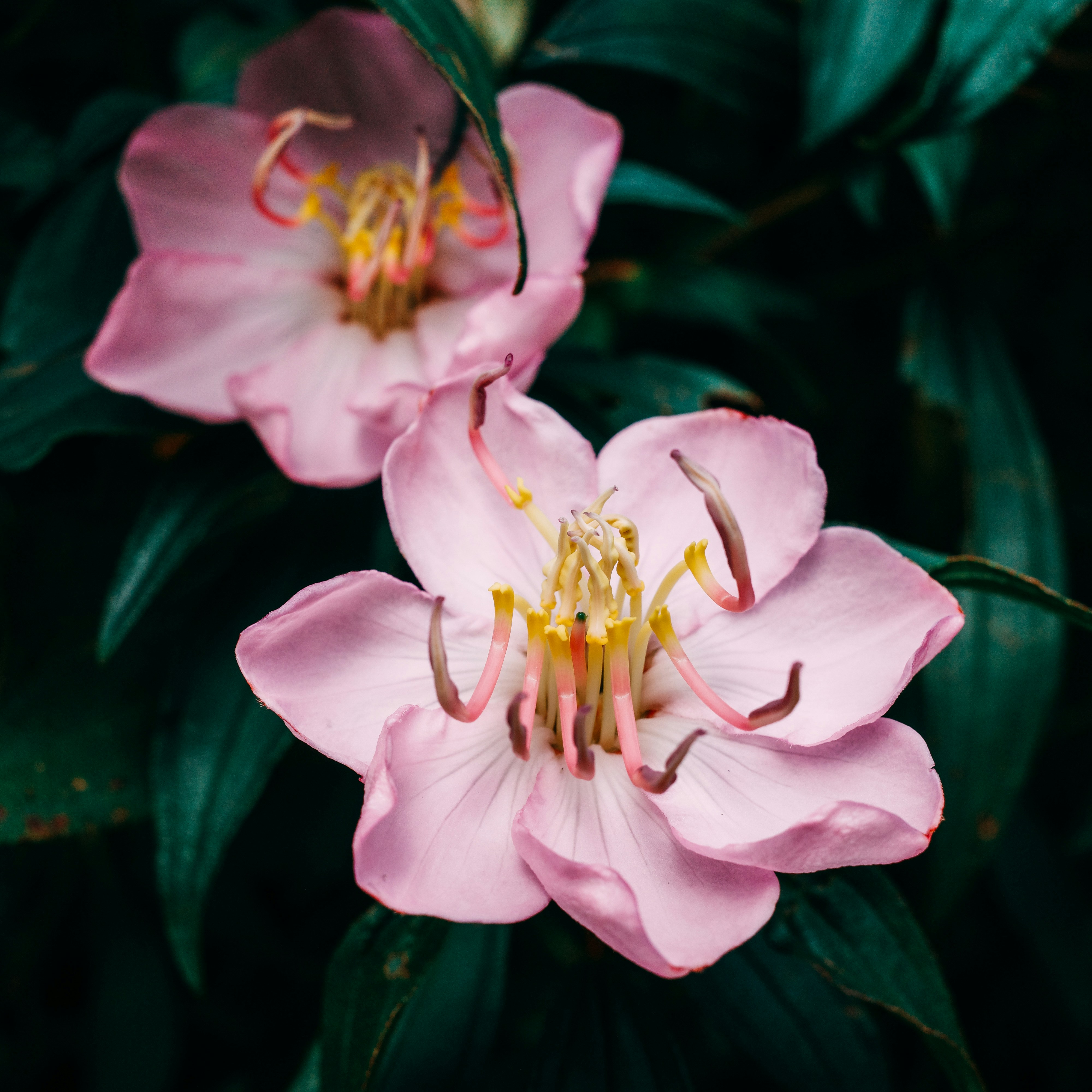 Photo by dickenslin76