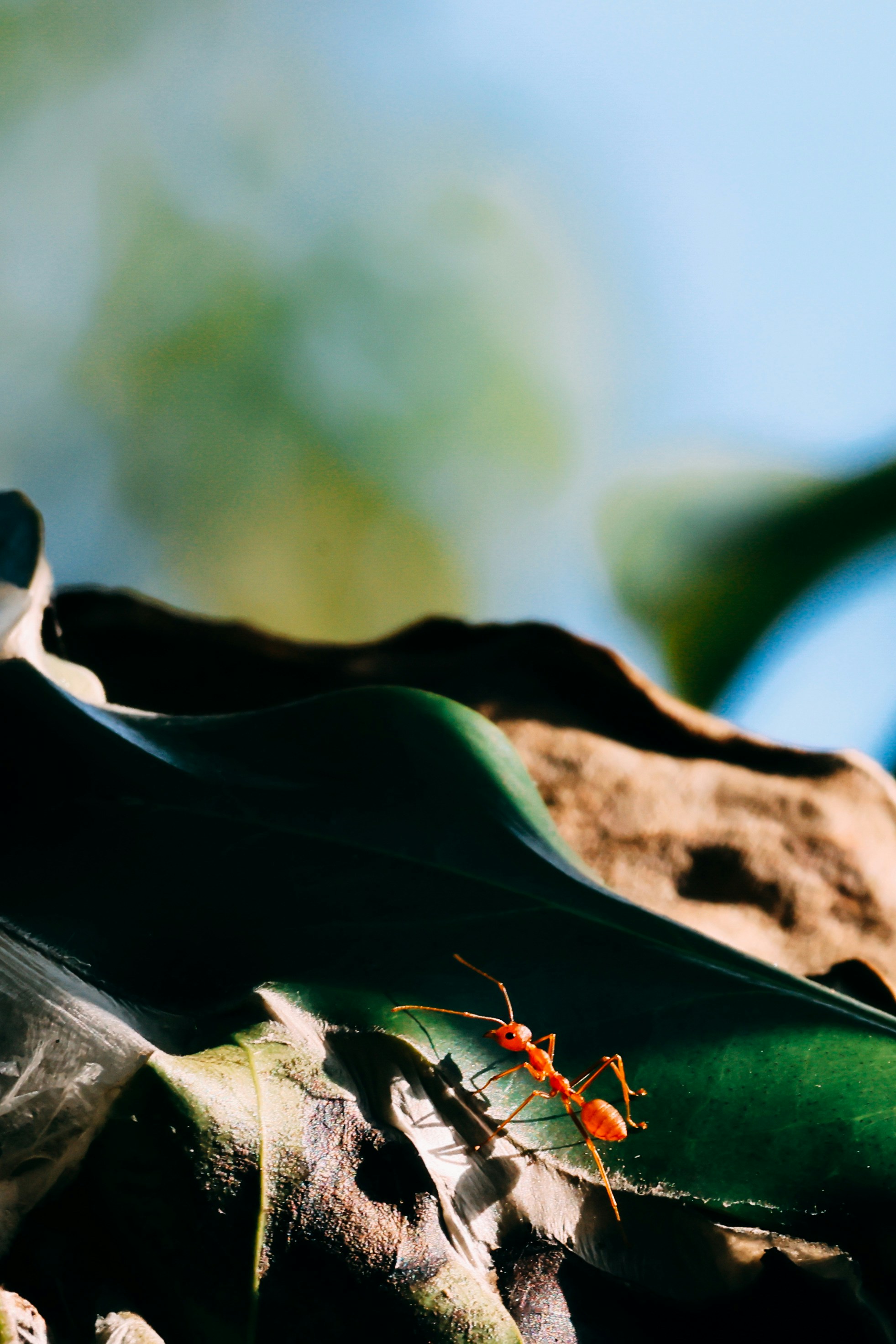 Photo by dickenslin76