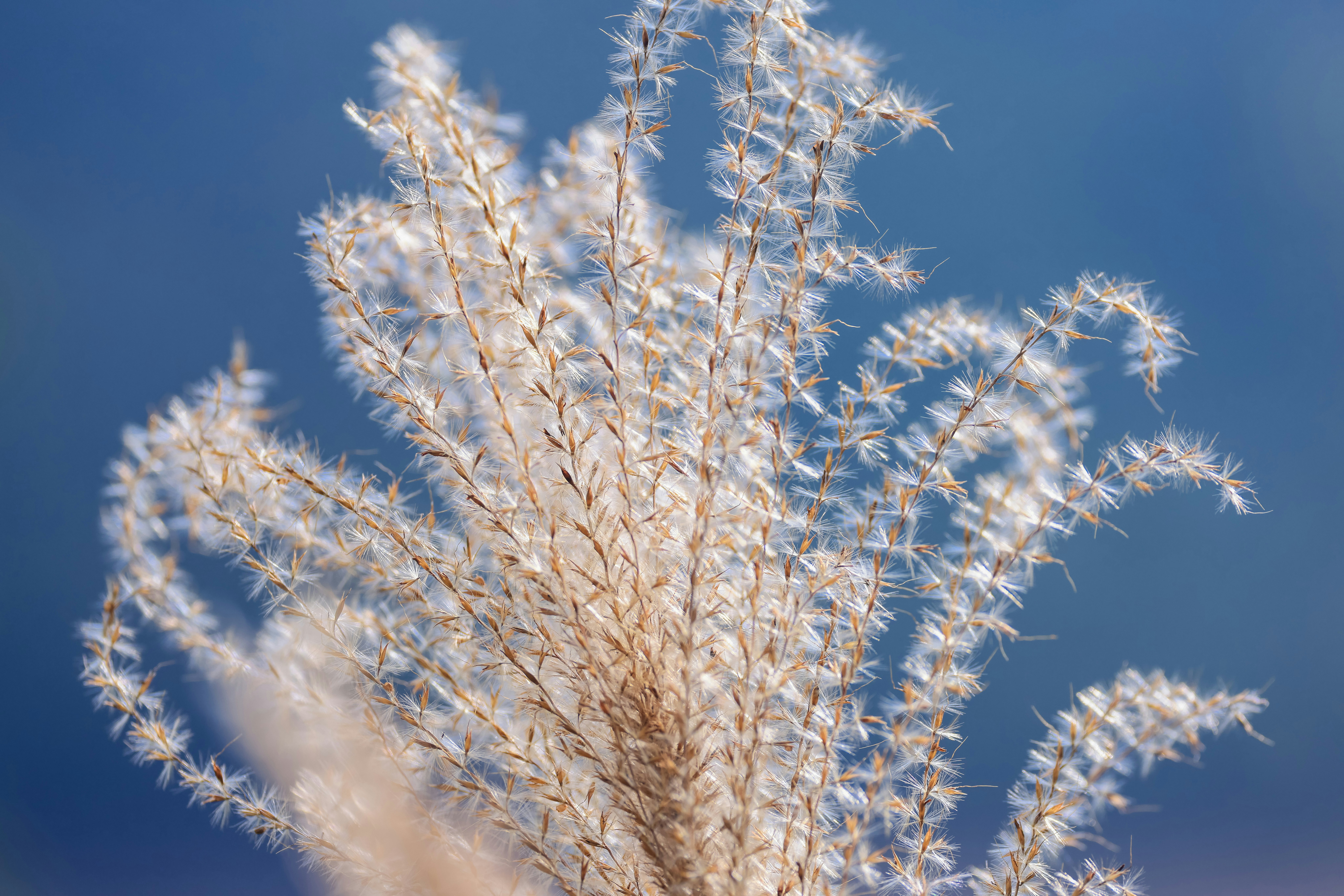 Photo by dickenslin76