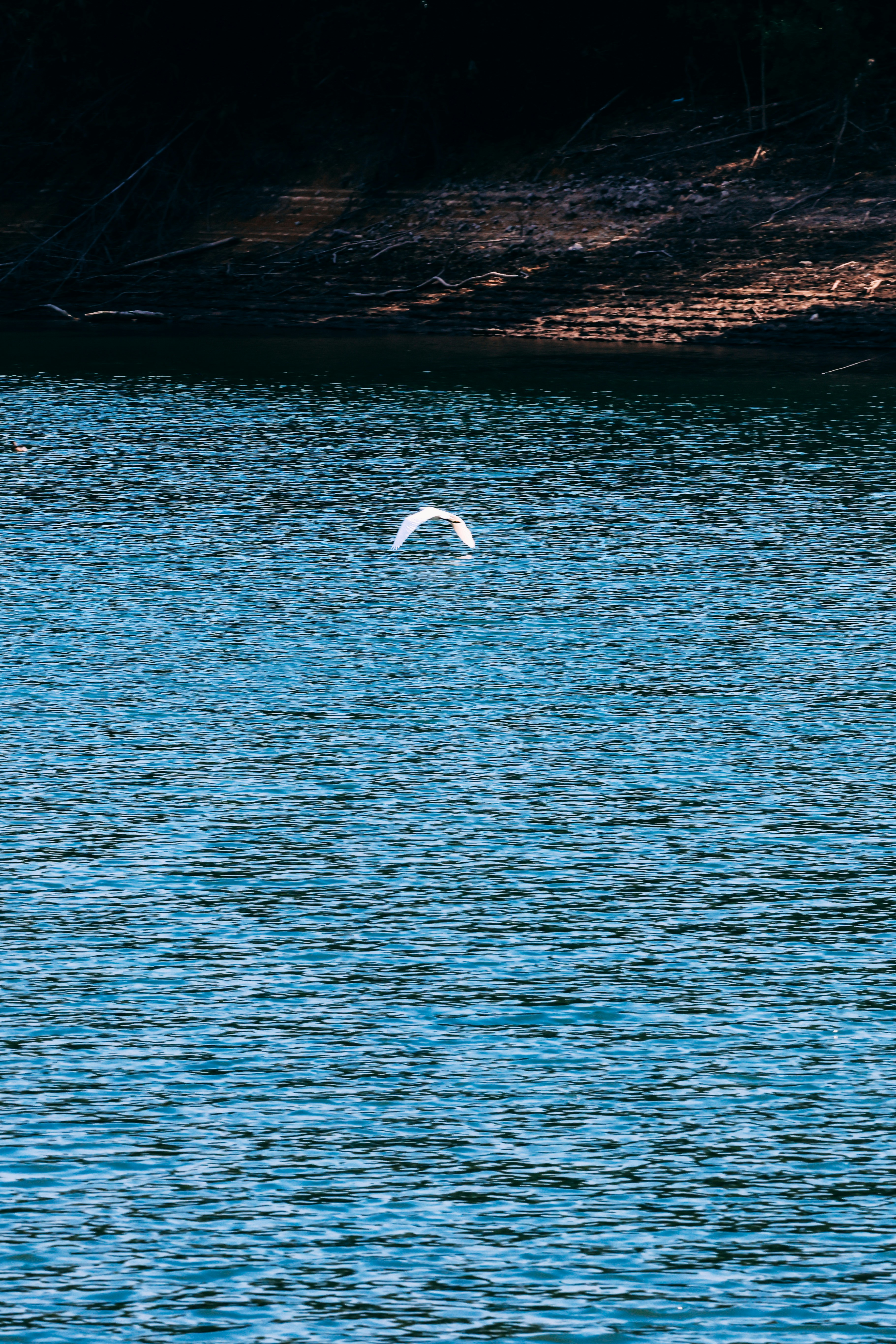 Photo by dickenslin76