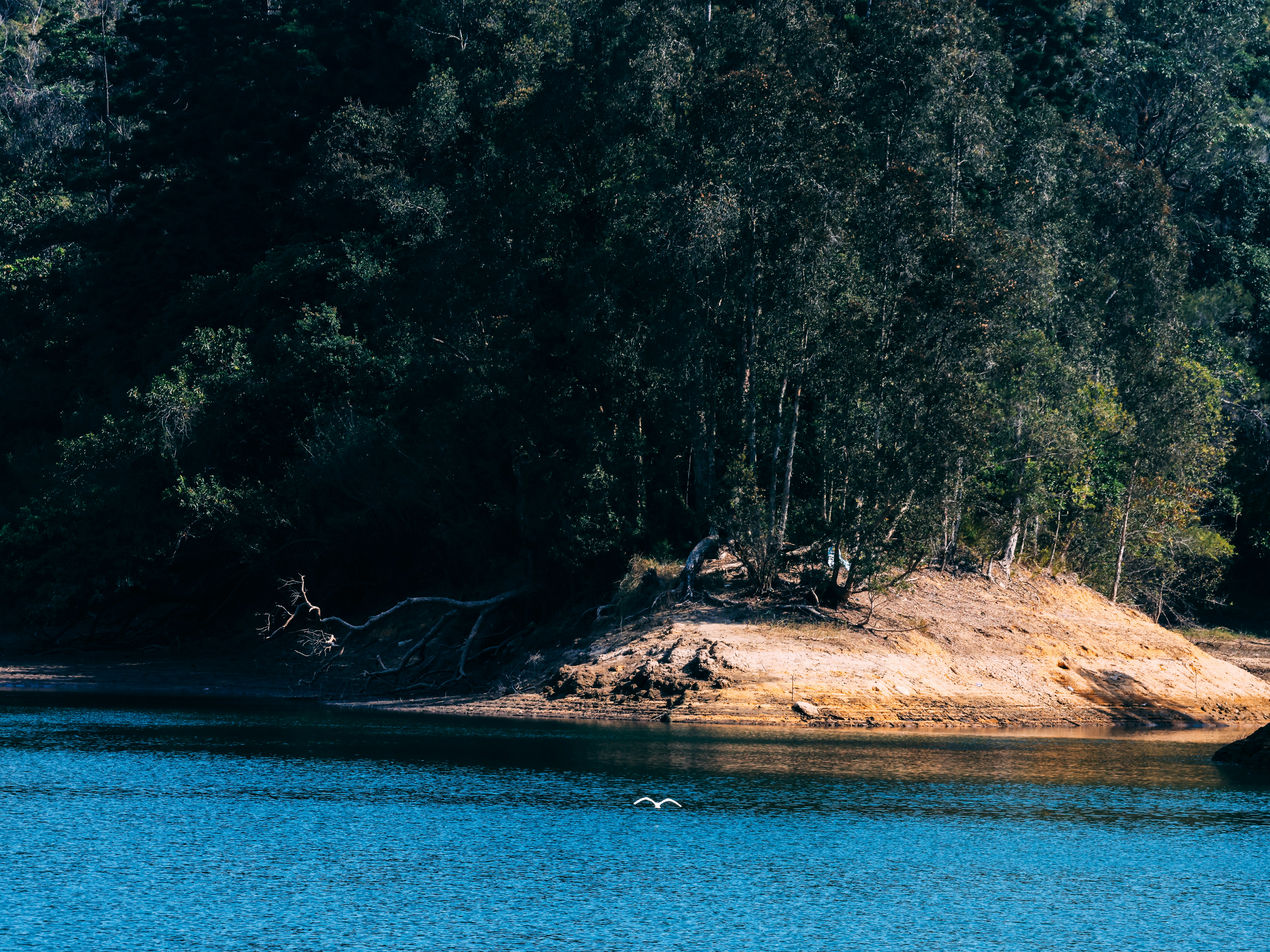 Photo by dickenslin76