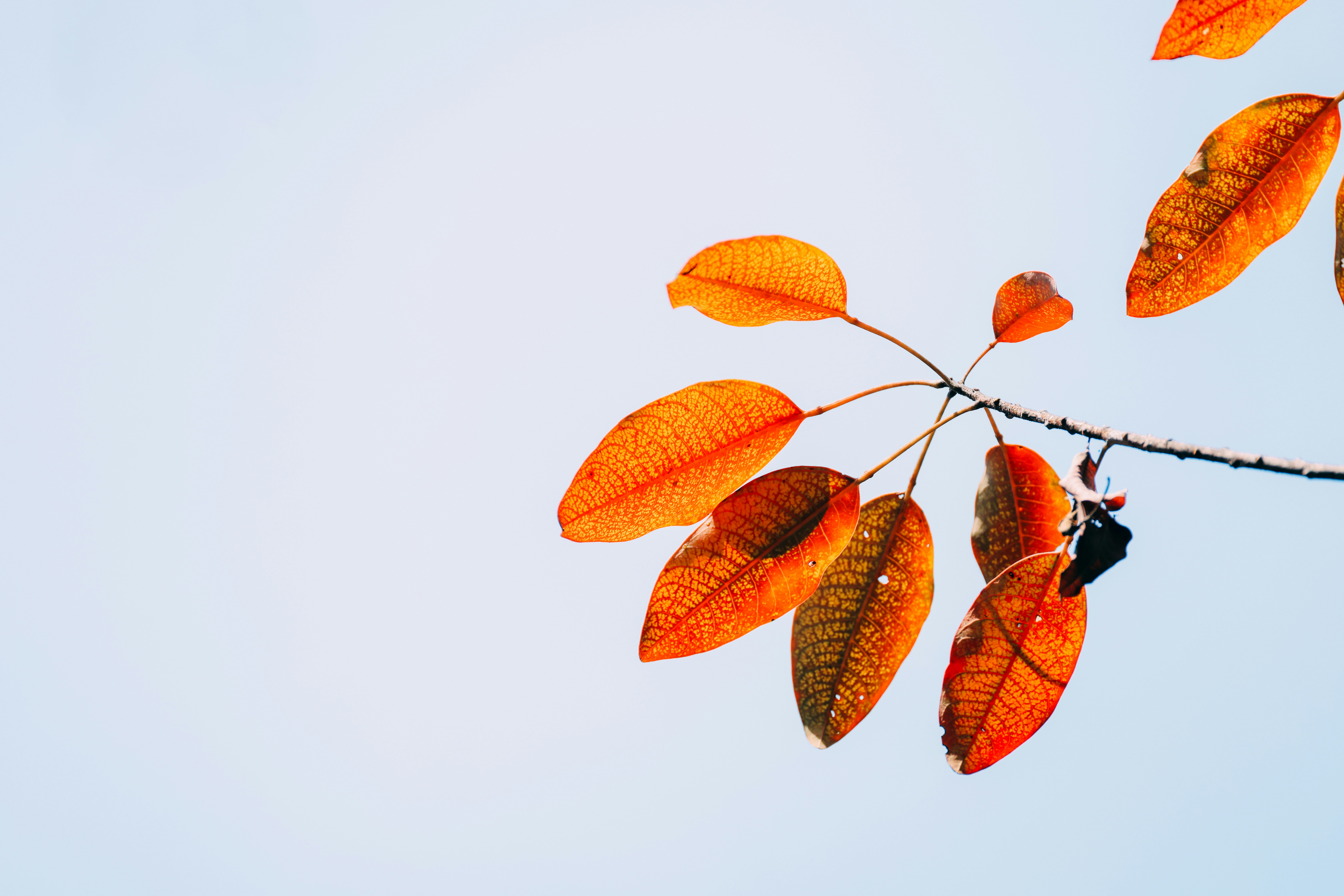 Photo by dickenslin76