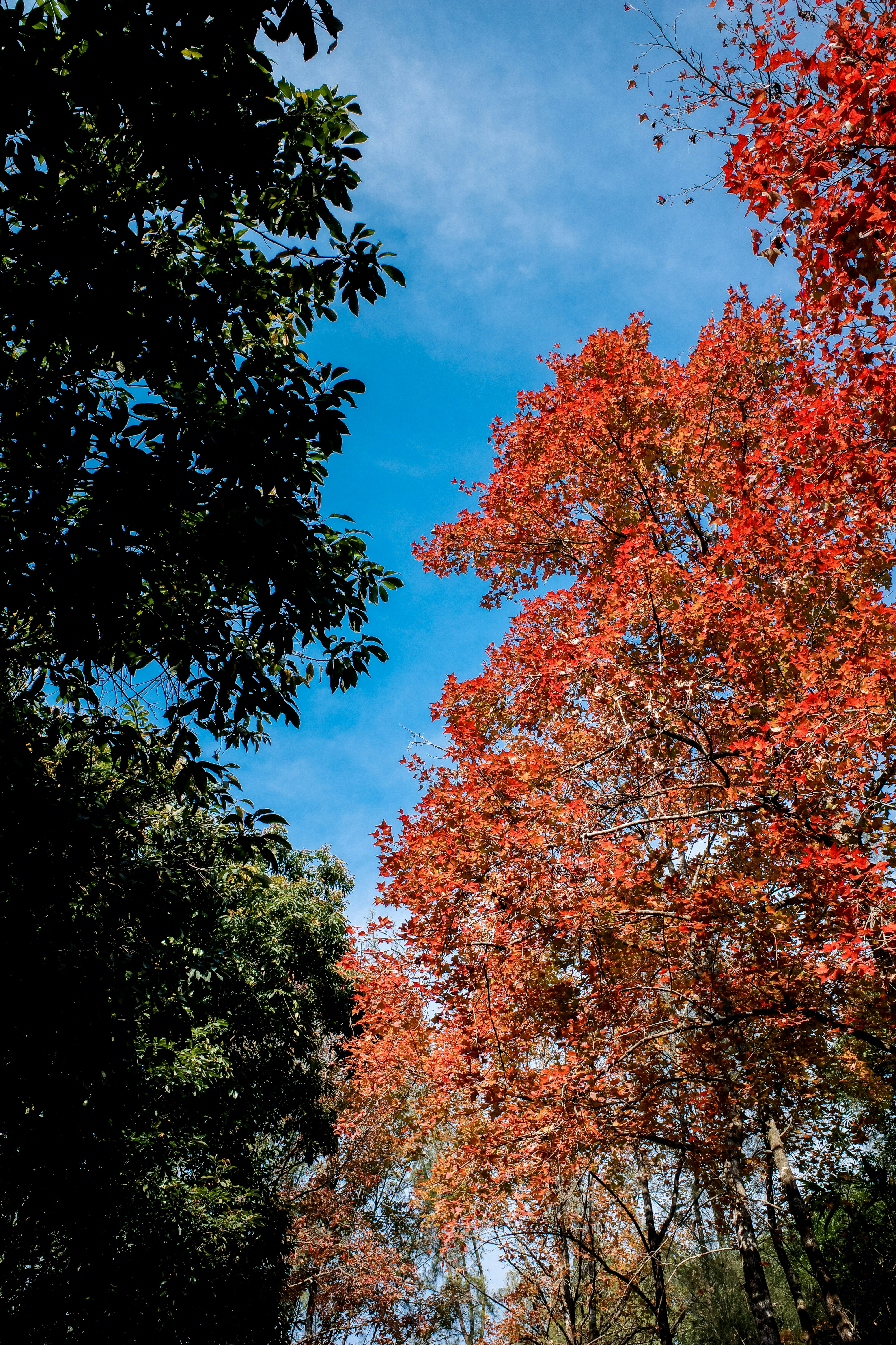 Photo by dickenslin76