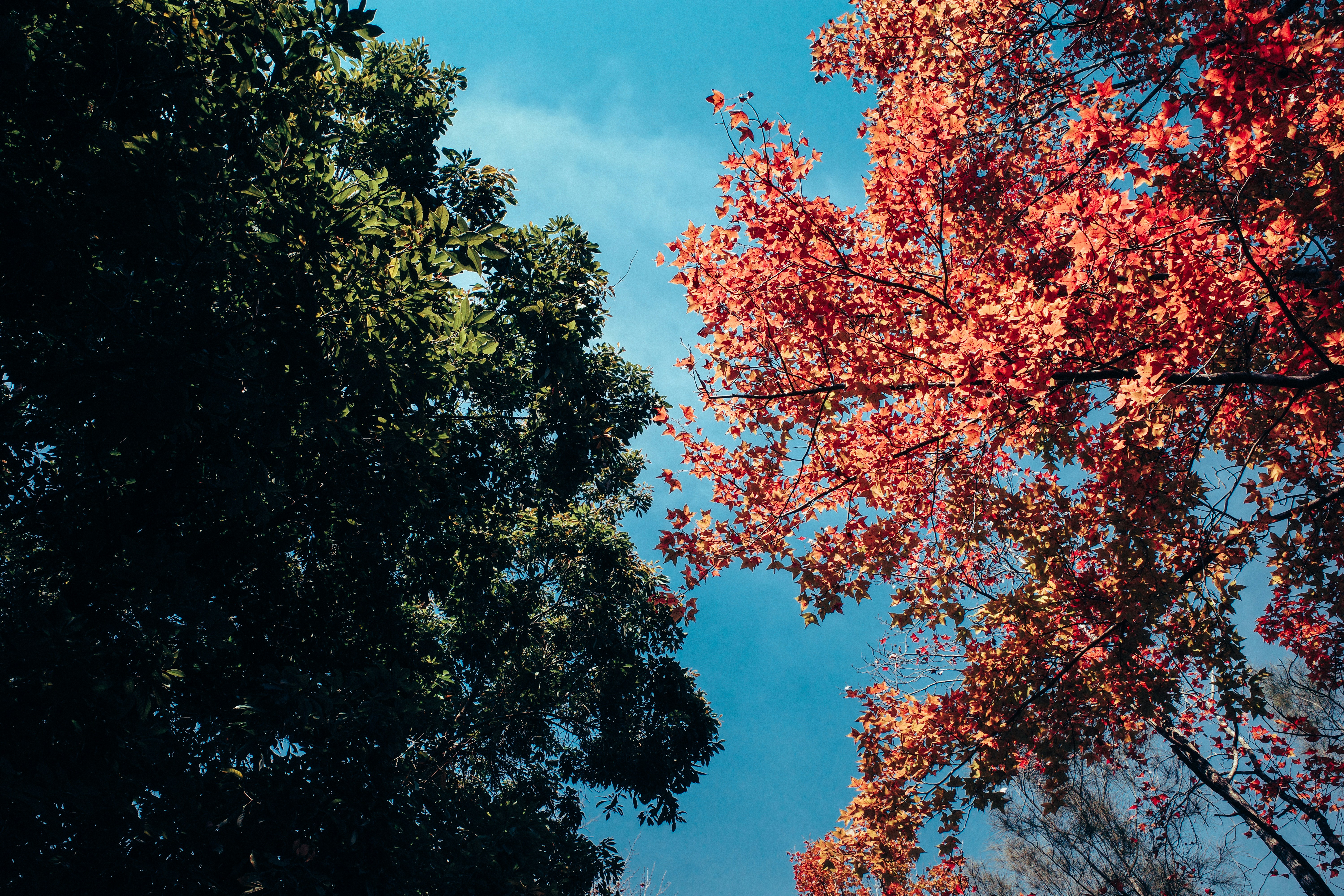 Photo by dickenslin76