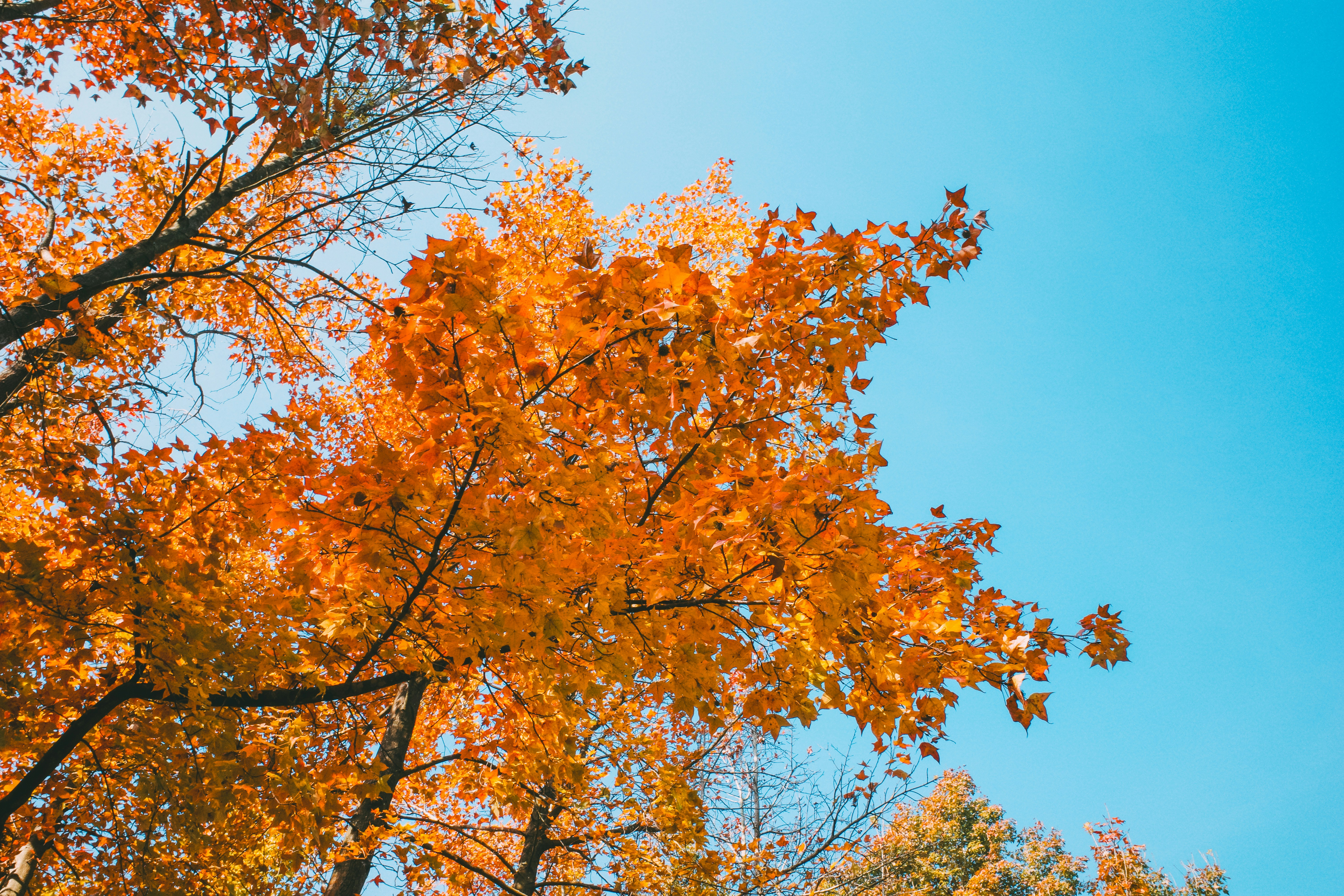 Photo by dickenslin76