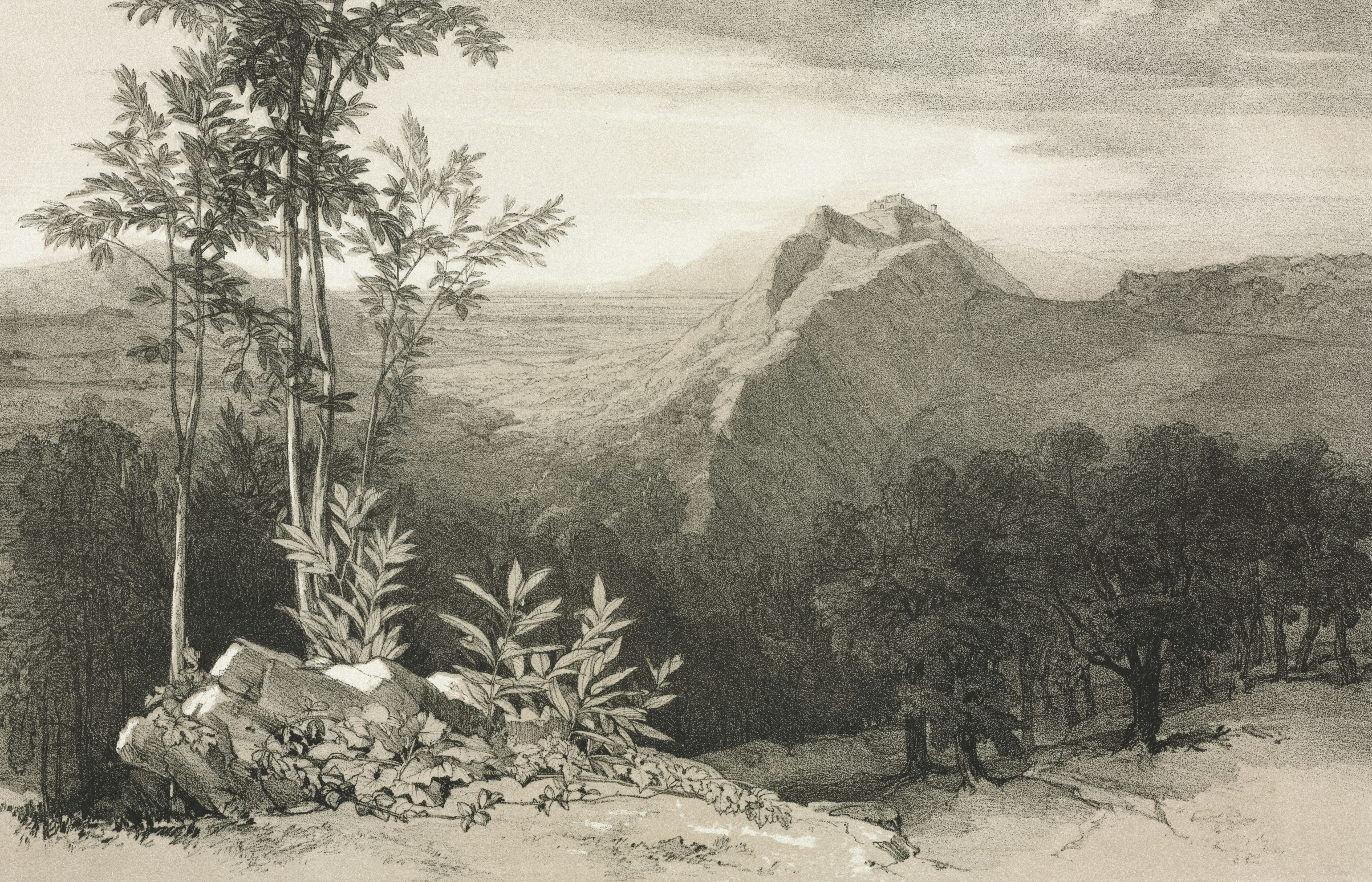 Photo by clevelandart