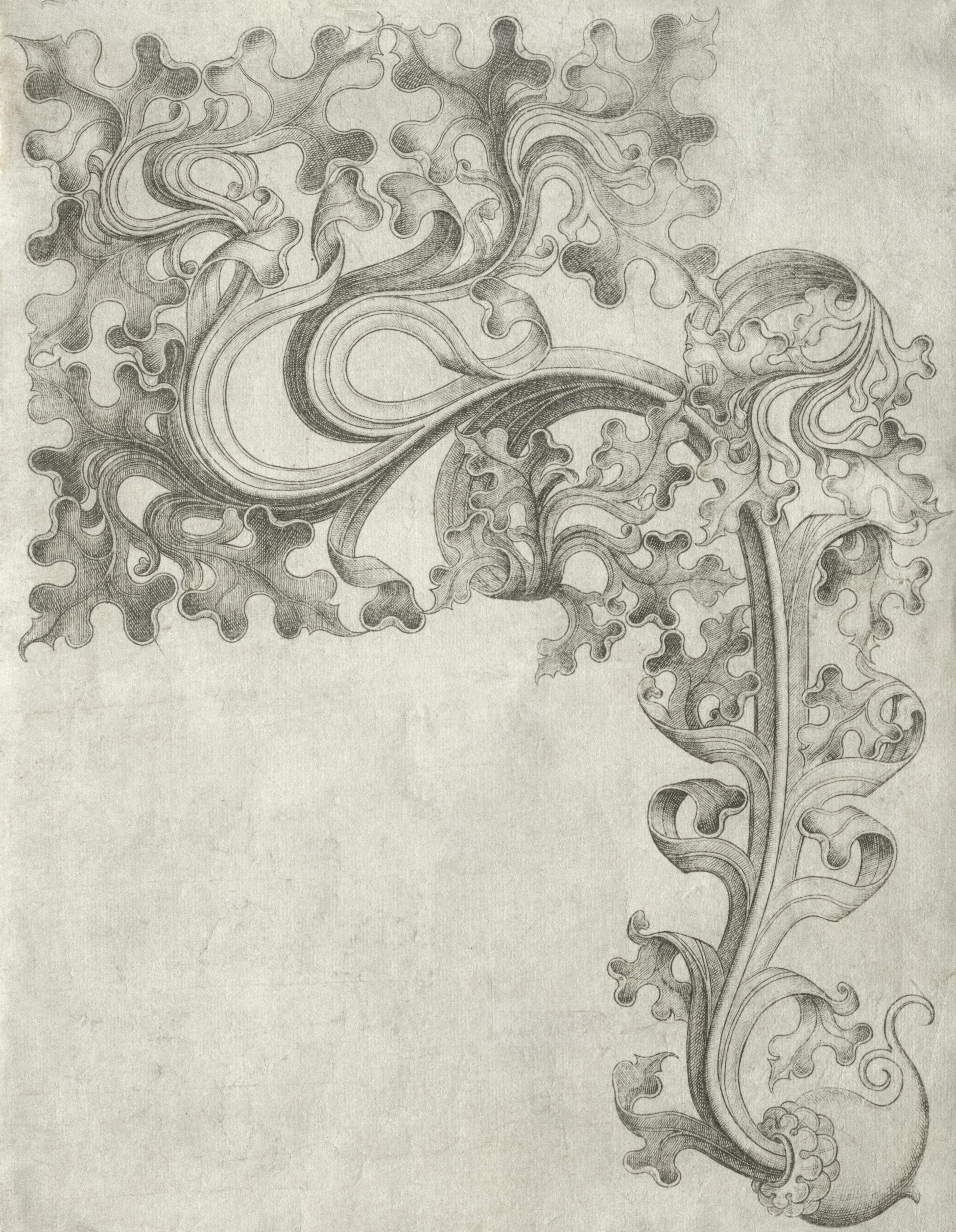 Photo by clevelandart