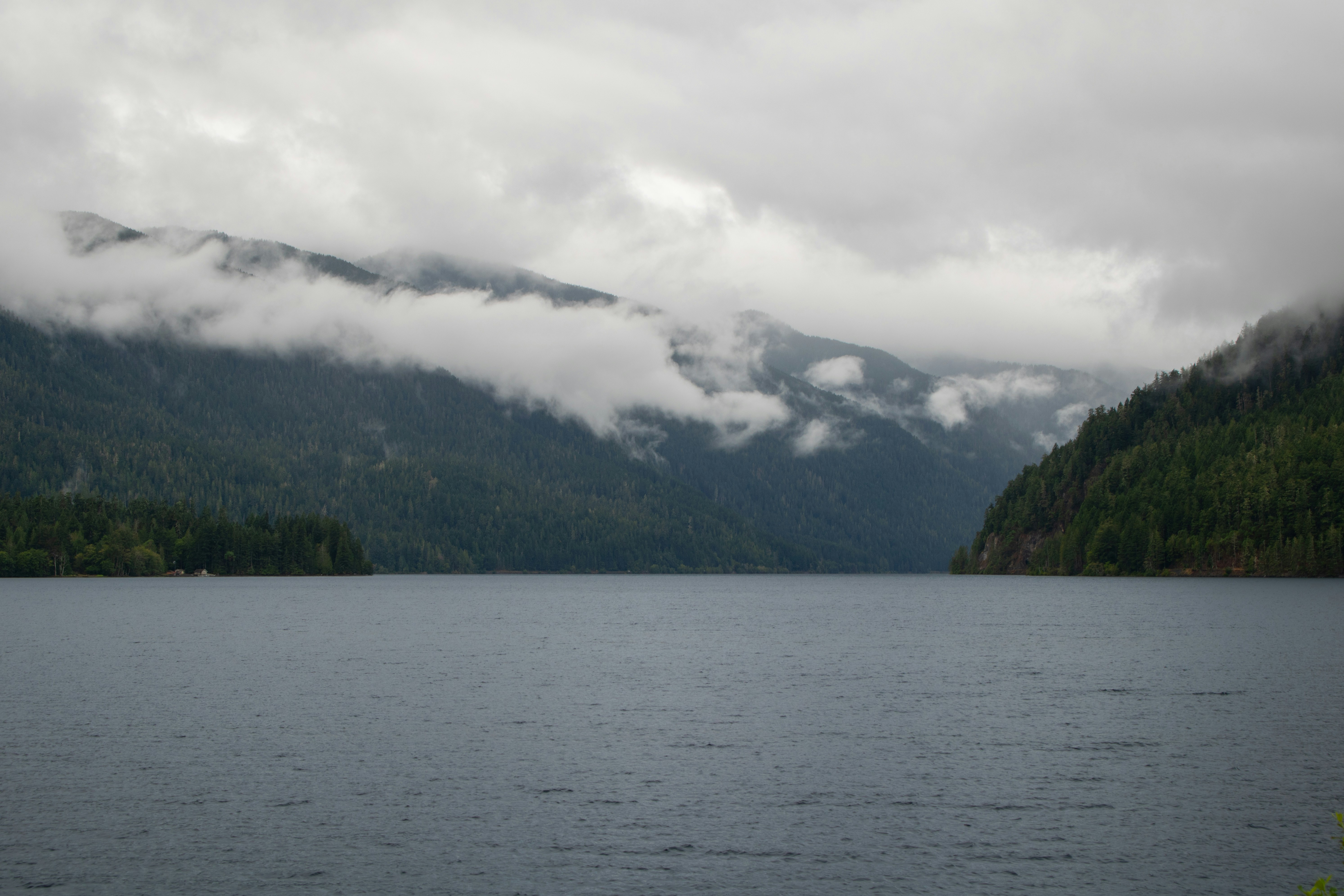 Photo by zoshuacolah