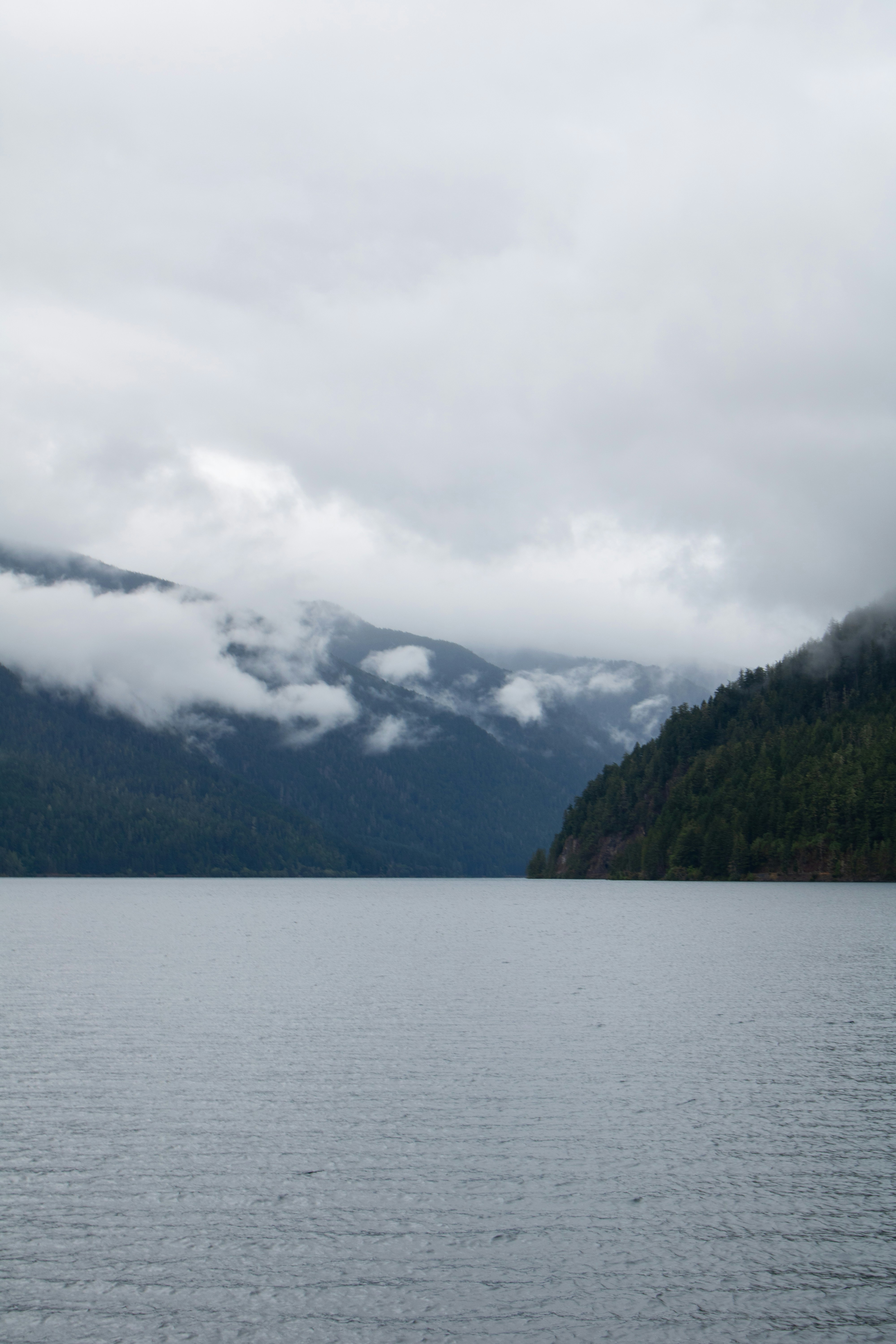 Photo by zoshuacolah