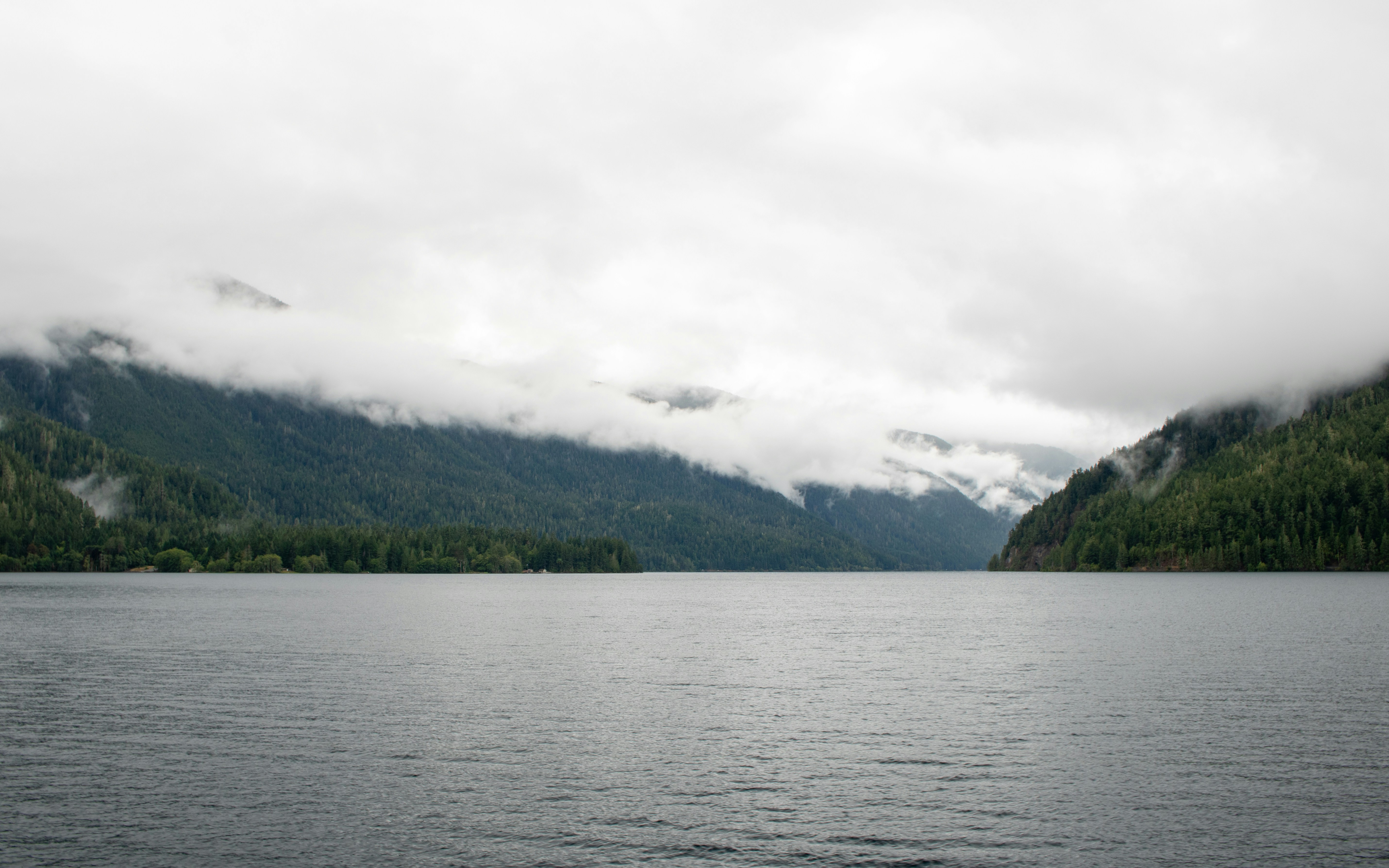 Photo by zoshuacolah