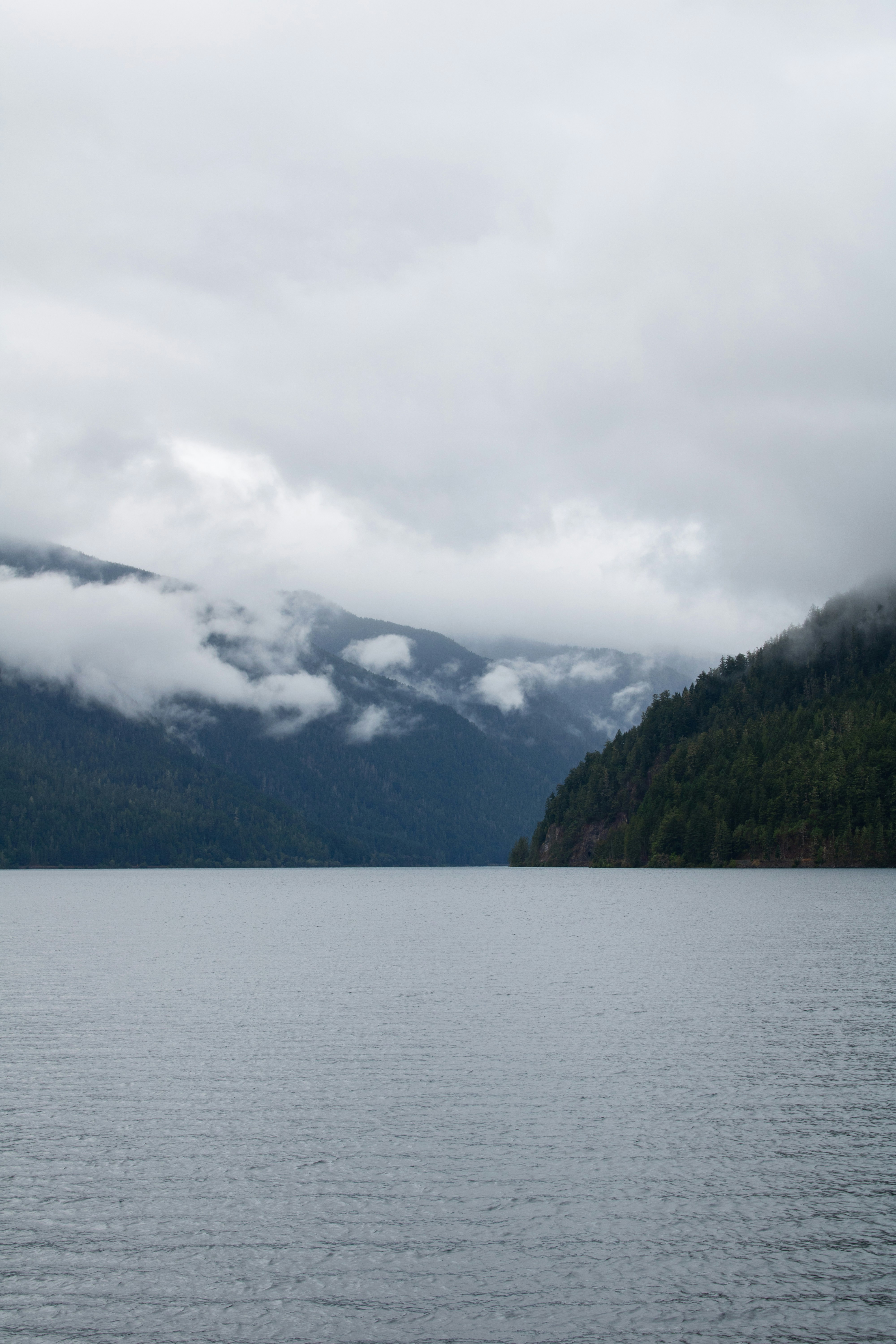 Photo by zoshuacolah