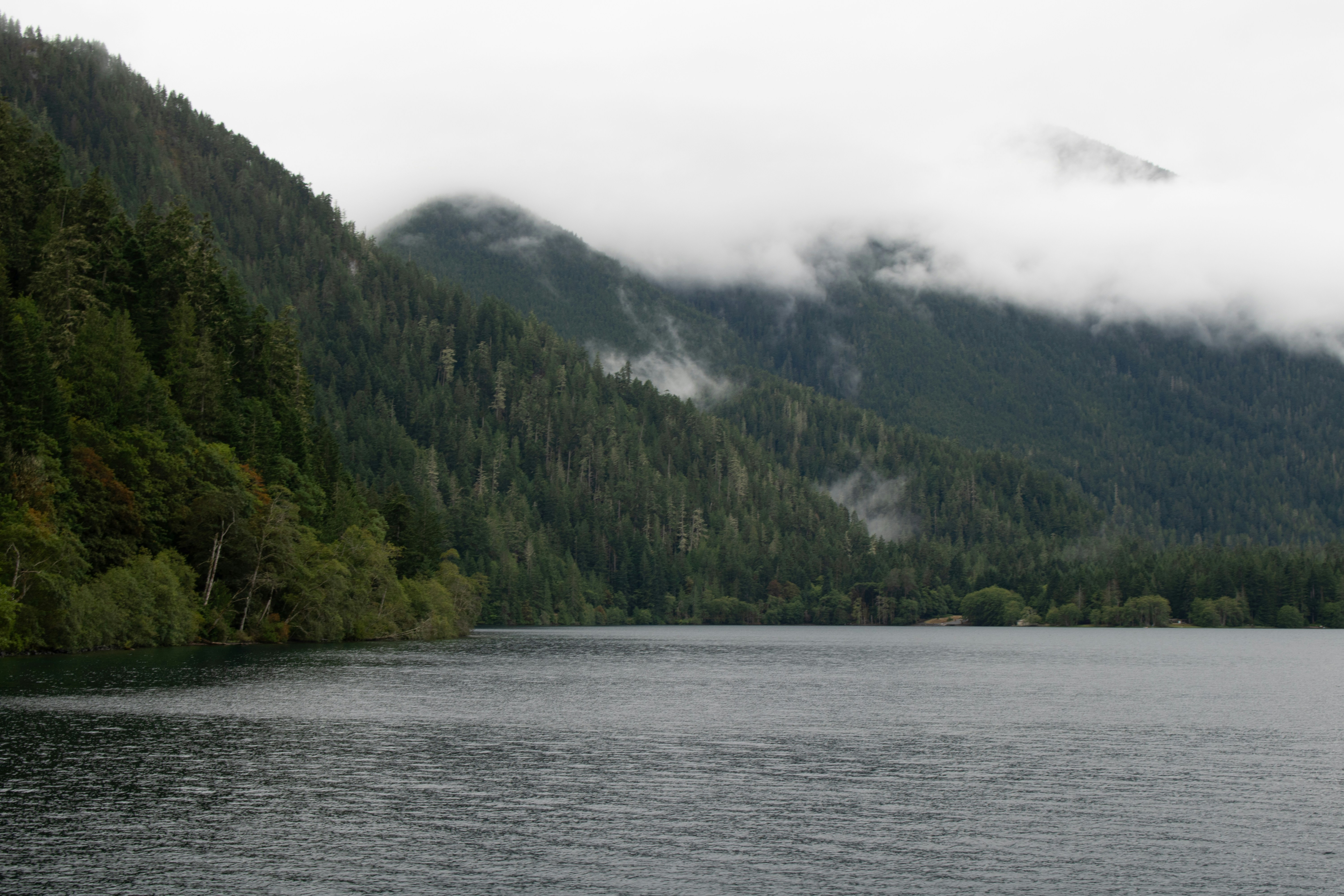 Photo by zoshuacolah